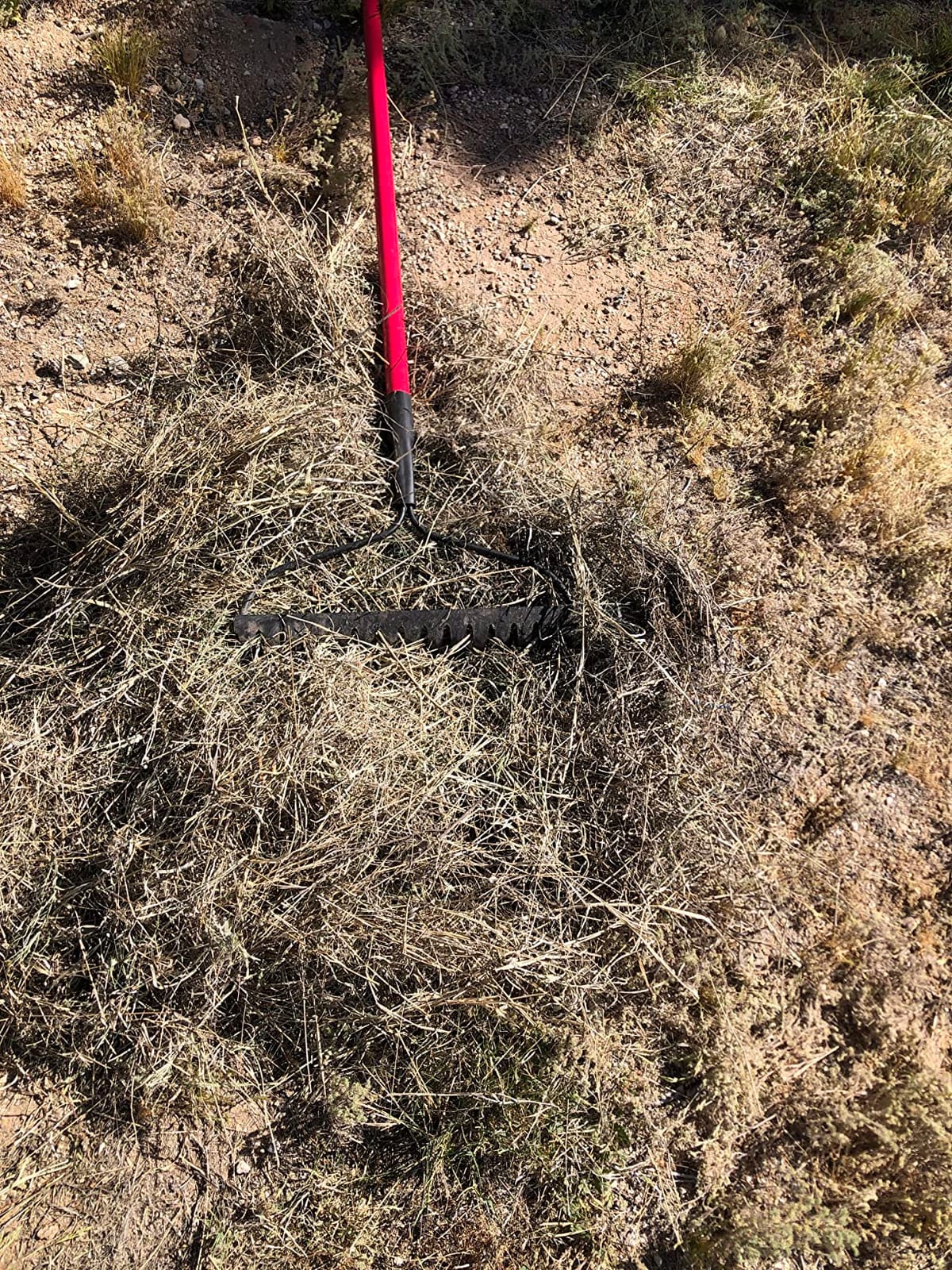 Bow Rake 16
