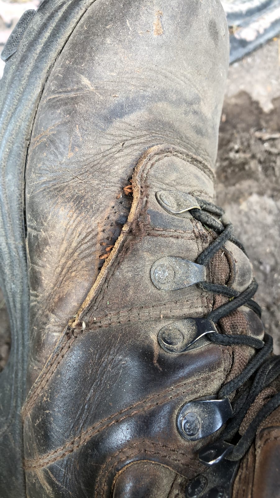 ROCKY Sport Utility 600G Insulated Waterproof Boot | Hunting Boots customer photo 1