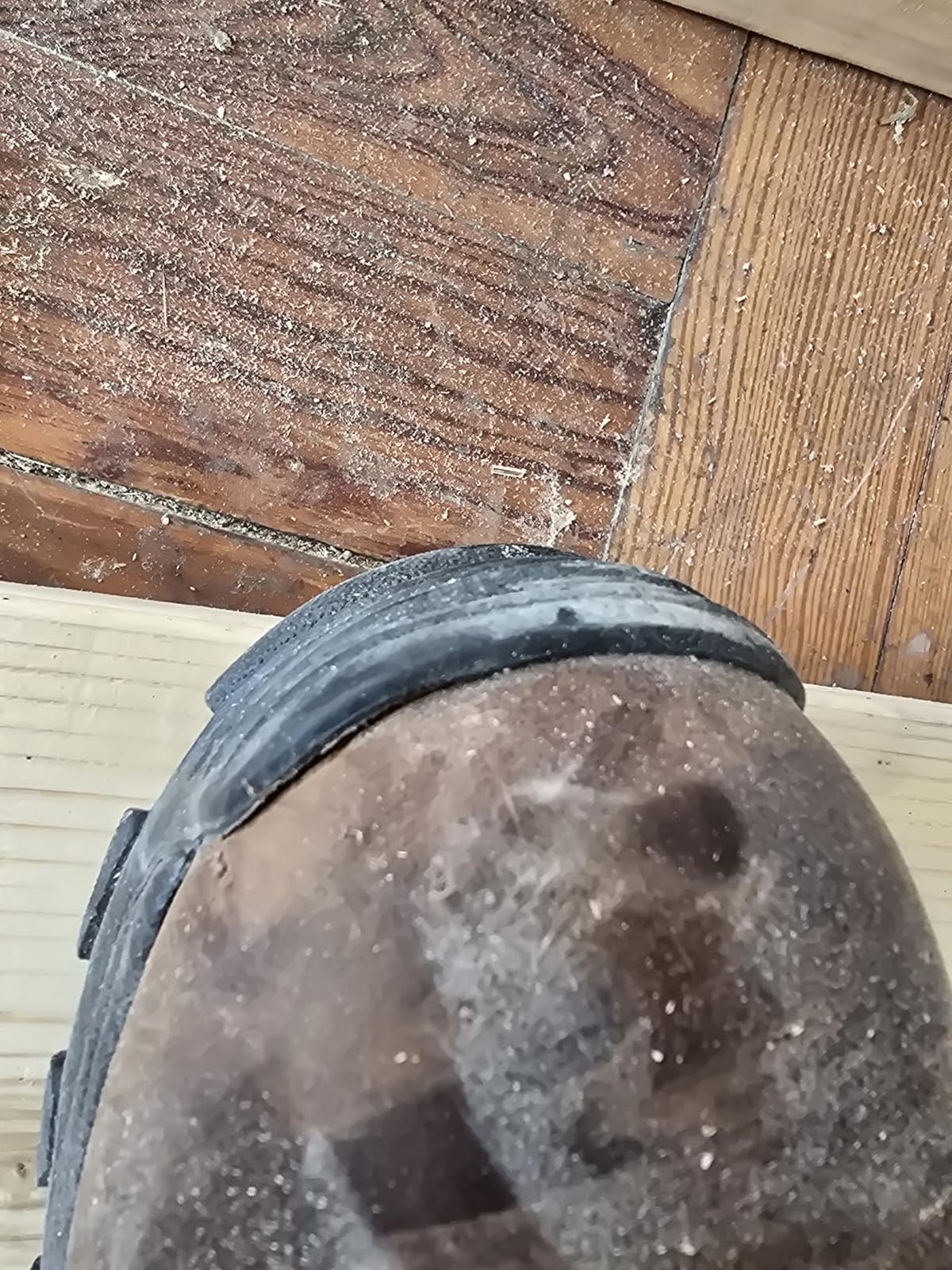 ROCKY Sport Utility 600G Insulated Waterproof Boot | Hunting Boots customer photo 2
