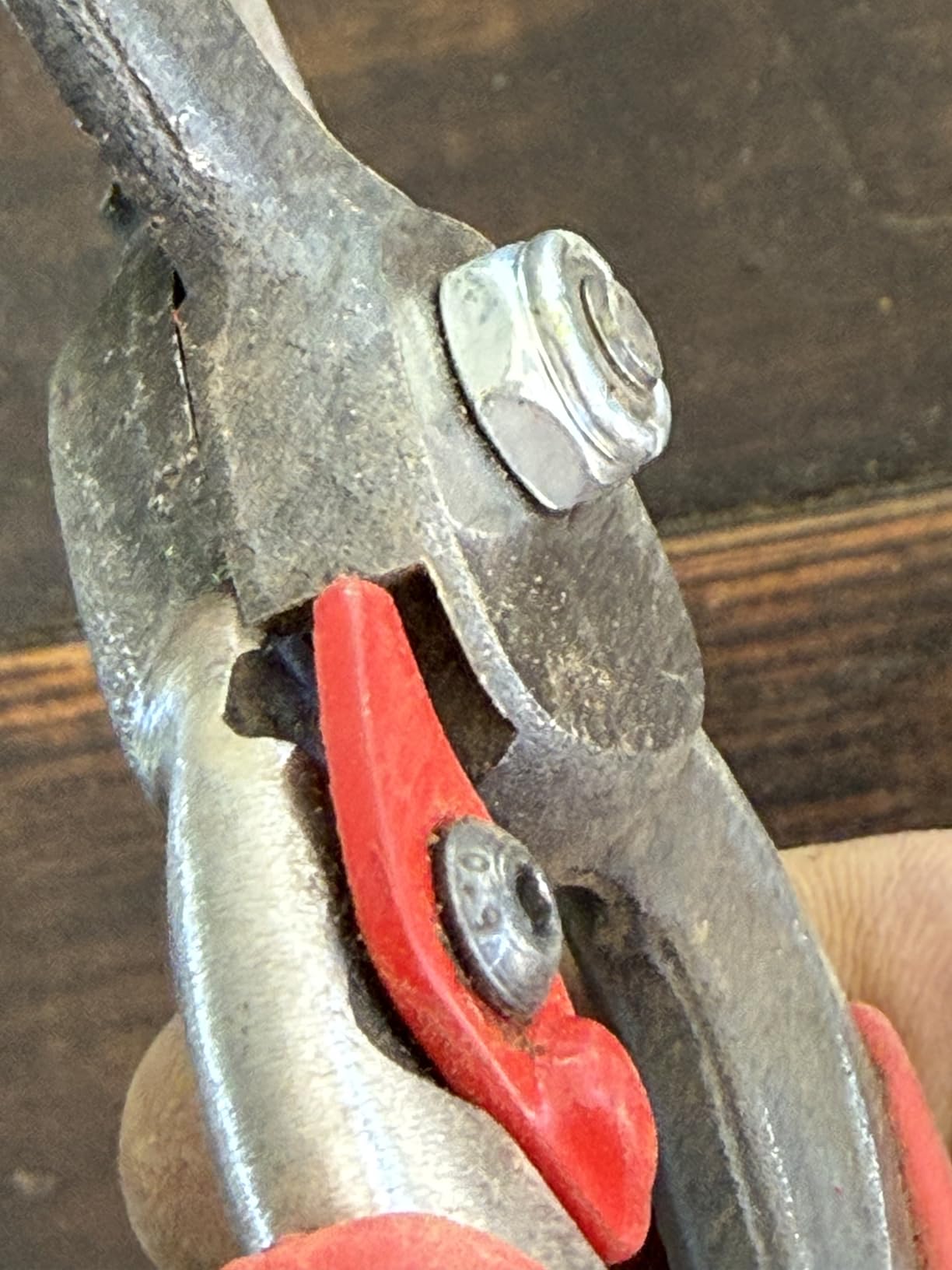 Corona Tools DualCUT Forged Steel Bypass Hand Pruner – 1″ Cutting Capacity Garden Pruning Shears for Branch & Stem Cutting customer photo 1
