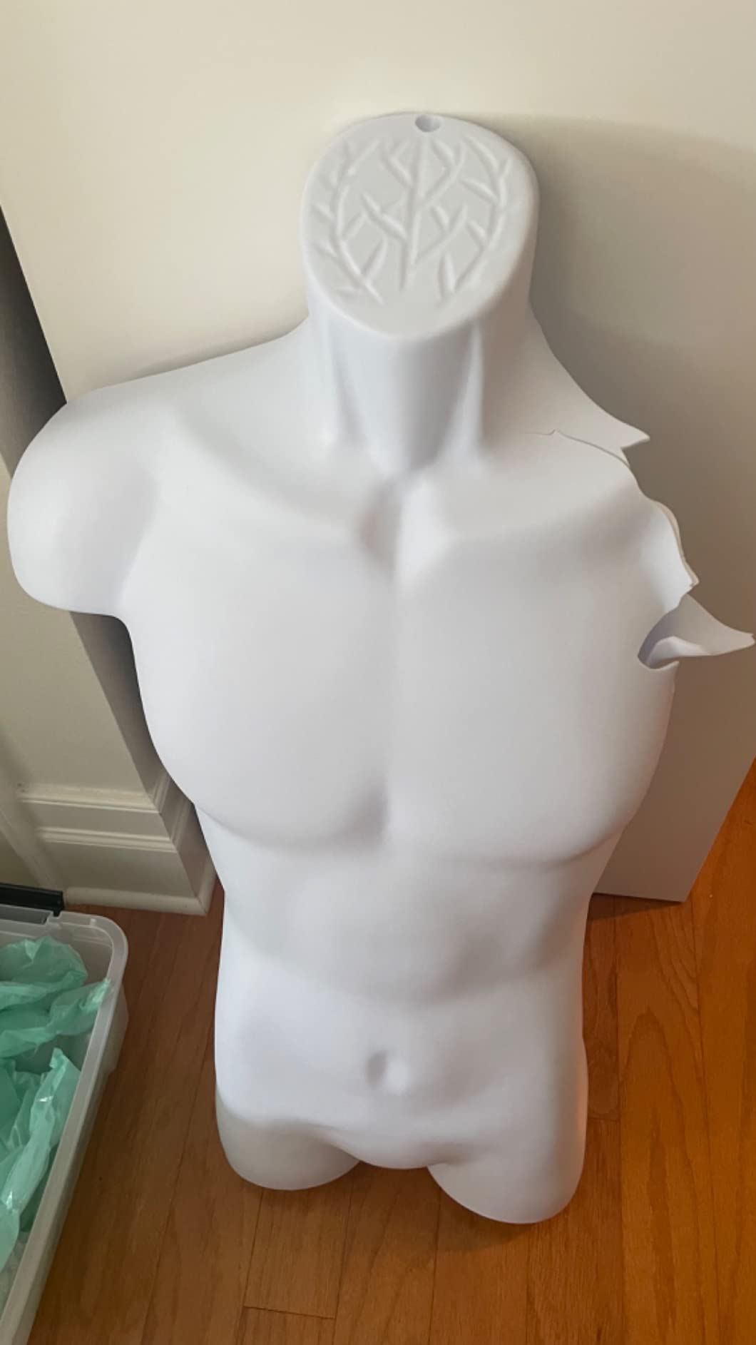 SSWBasics Male Molded Shatterproof White Shapely Torso Form with Hook customer photo 2