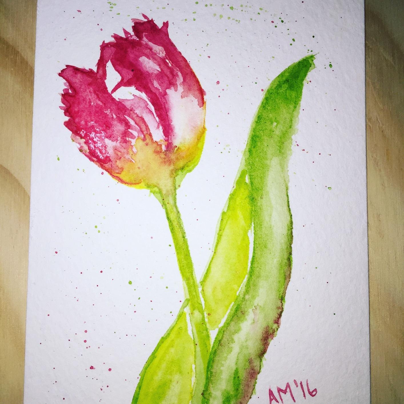 White Nights Professional Watercolor Set 36 Full Pans of Extra Fine Artist Grade Pigments, Vibrant Lightfast Colors in Durable Plastic Box by Nevskaya Palitra customer photo 2