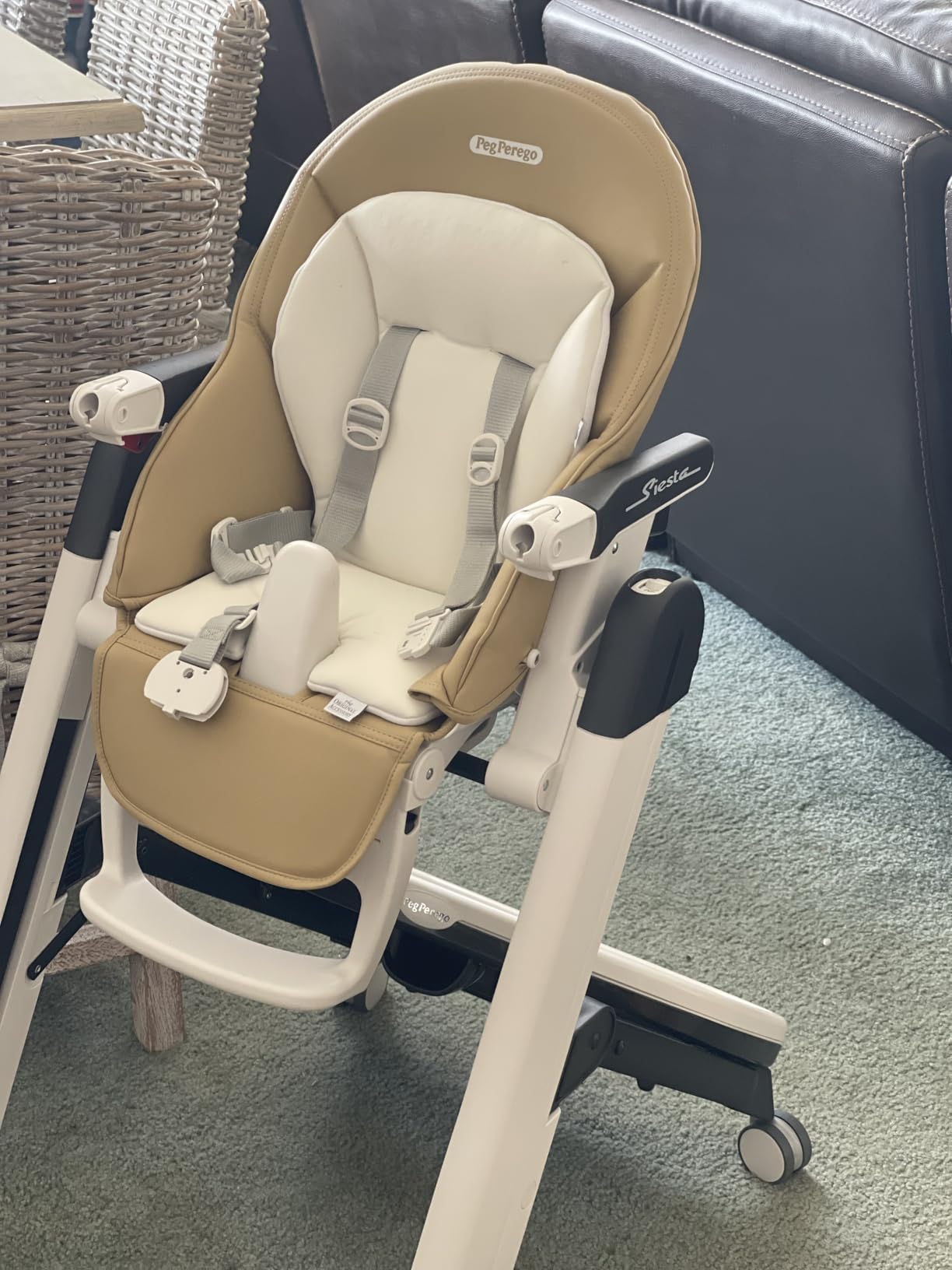 PEG Siesta, Grow With Baby Folding High Chair & Recliner, Licorice customer photo 2
