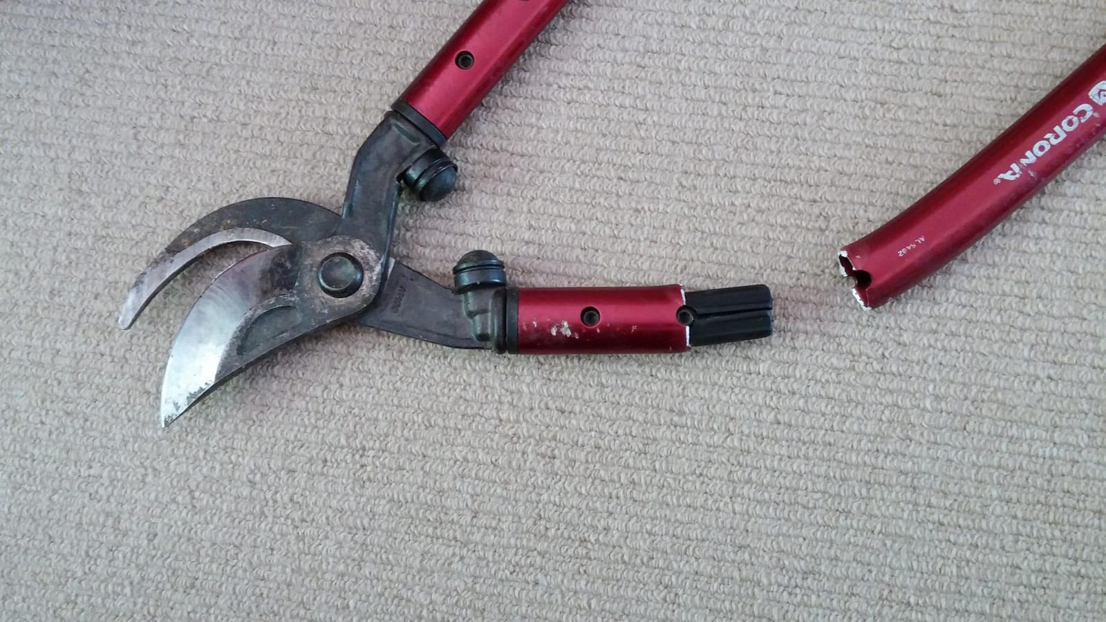 Corona Tools | 32-inch Branch Cutter MAXFORGED Orchard Loppers | Tree Trimmer Cuts Branches up to 2 ¼-inches in Diameter | AL 8462, Red customer photo 1