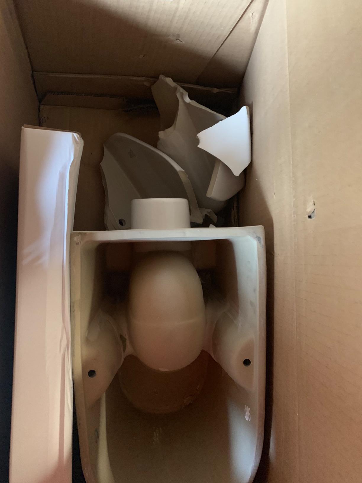 Saniflo Sanibest Pro: Macerating Upflush Toilet Kit (with Elongated Bowl) customer photo 1