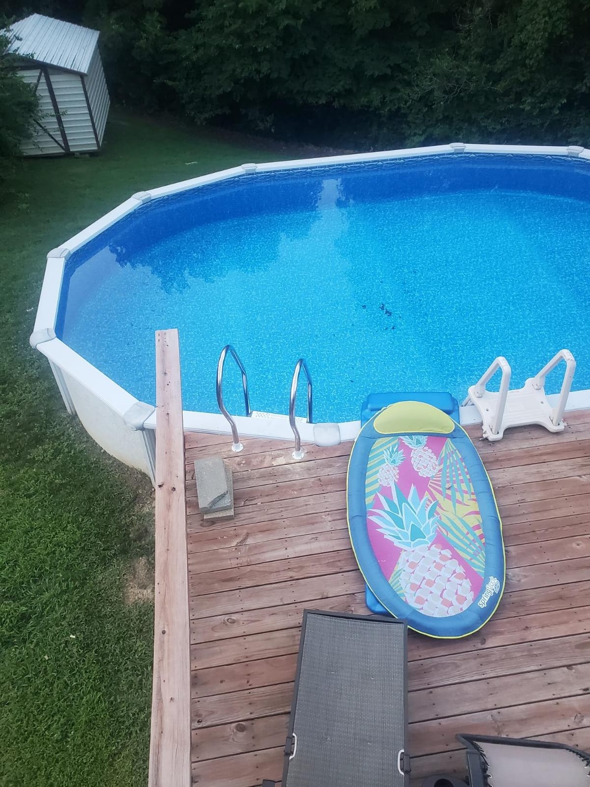 Blue Wave Premium Stainless Steel Reverse-Bend Pool Ladder, Above Ground | Ergonomic reverse-bend handrails, non-slip steps, stainless steel, fits 48-54 in pools, 225-lb cap, safe deck entry customer photo 1