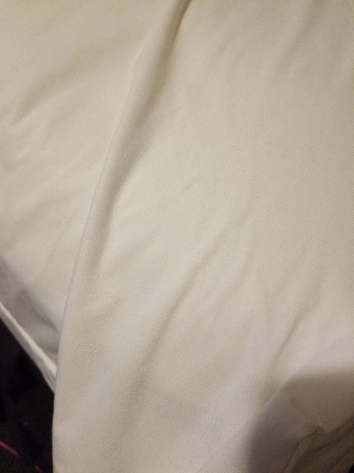 Guardmax Queen Mattress Protector Zippered, Bed Bug Mattress Cover customer photo 1