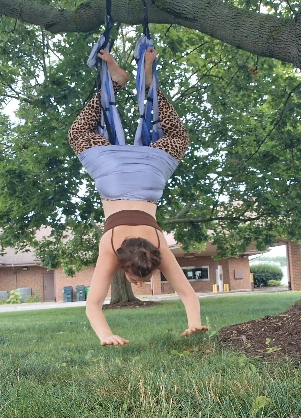 Yoga Trapeze Swing Set for Back Pain Relief & Inversion Therapy | Easy setup indoor or outdoor, Adjustable straps, 600lb capacity, Carrying bag included, Free online tutorials customer photo 2