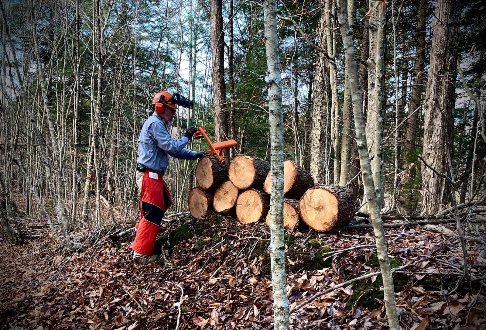 Stihl ProMark Forestry Helmet System customer photo 1