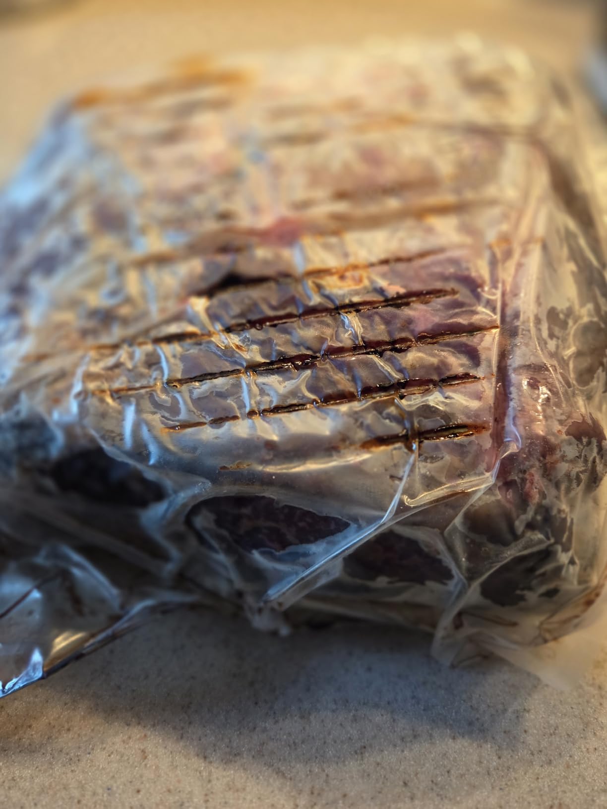 UMAi Dry Aging Bags for Meat, Ribeye & Striploin Steak, 3 Pack, 12-18 lbs | Home Steak Ager Refrigerator Bags, Create Rich and Tender Dry-aged Beef at Home in 28-45 days, No Vacuum Sealer Needed customer photo 1