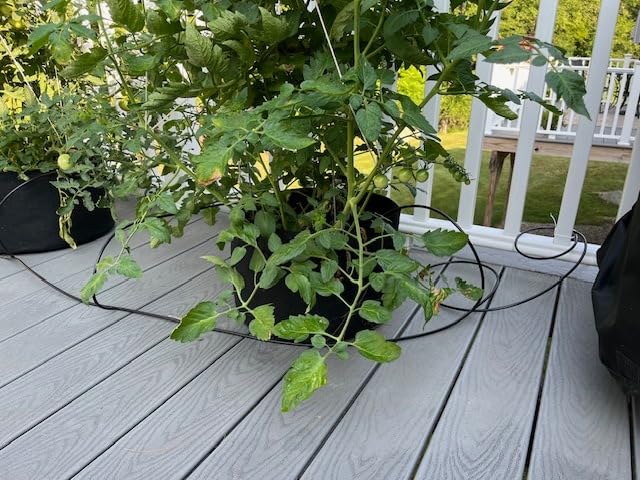 Raindrip R560DP Drip Watering System with Timer customer photo 1