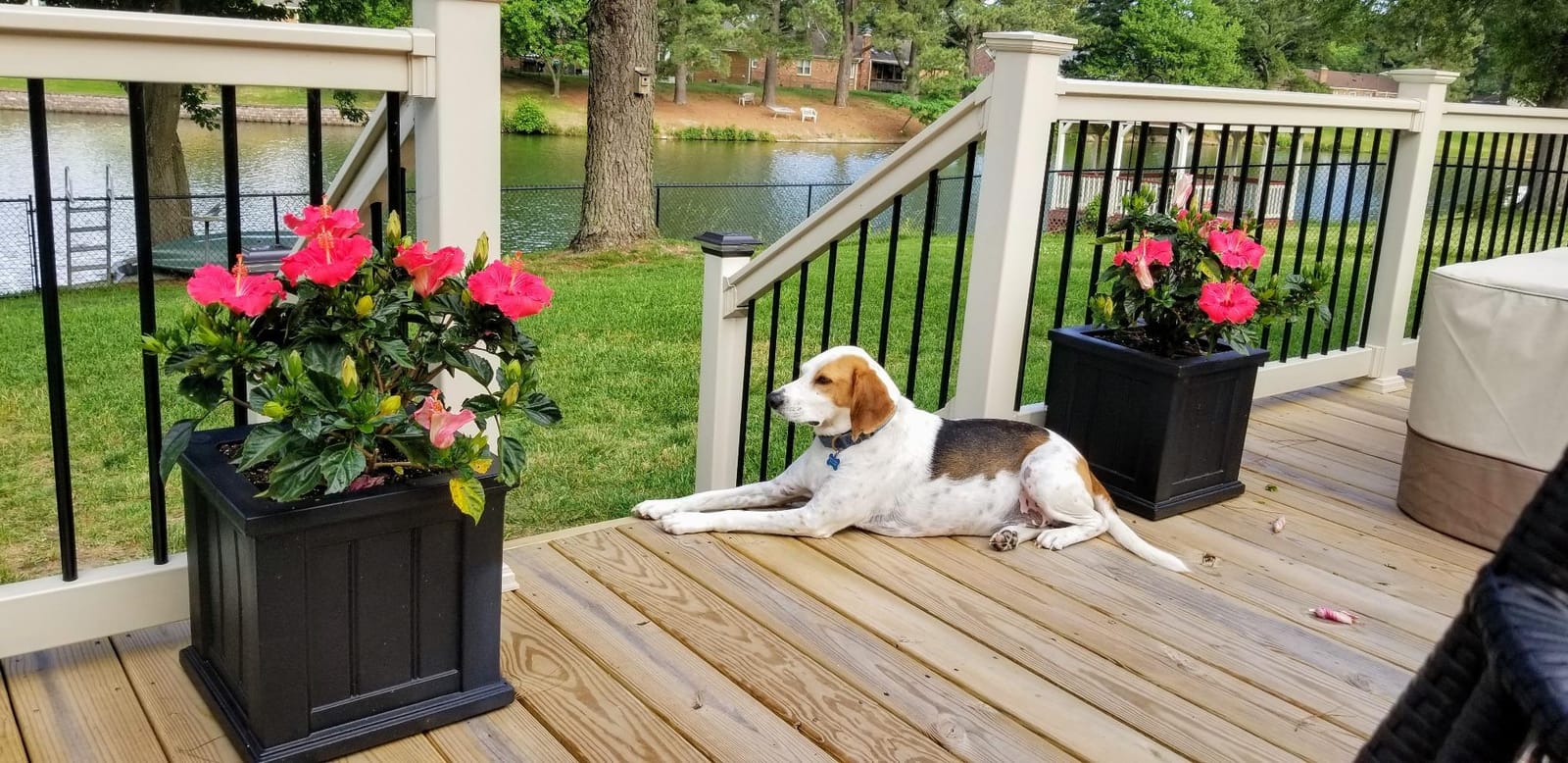 Mayne Cape Cod 20in Self-Watering Square Planter, Black | Self-watering, All season, Fade resistant, Double-wall design, 15-year warranty customer photo 1