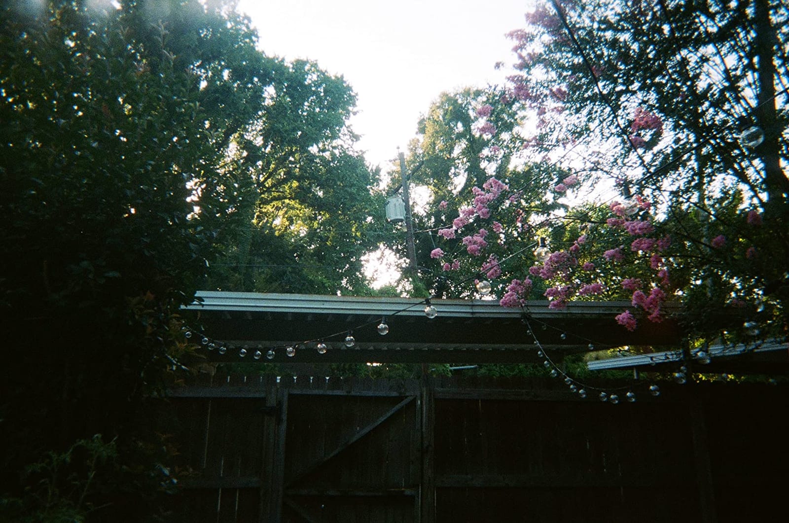 Fujifilm QuickSnap 800 Waterproof 35mm One-Time-Use Disposable Camera, 27 Exposures 2-Pack customer photo 2