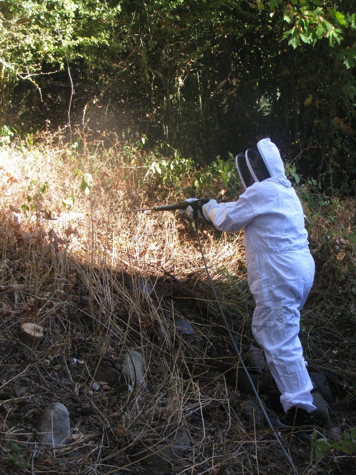 Humble Bee 411 Polycotton Beekeeping Suit with Fencing Veil customer photo 2