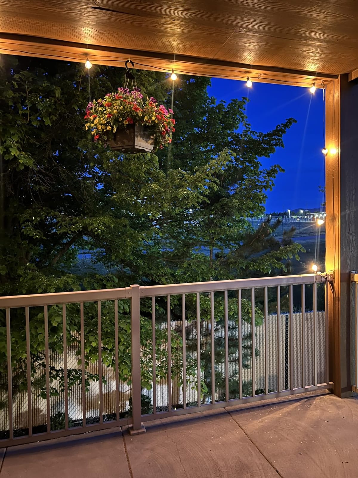 Brightown Outdoor String Lights, 29FT G40 LED IP65 Waterproof Patio Lights | 12 Shatterproof Edison Bulbs, Plug-In, Dimmable, Connectable, Hanging Light for Backyard Porch Party Decor, Warm White customer photo 1