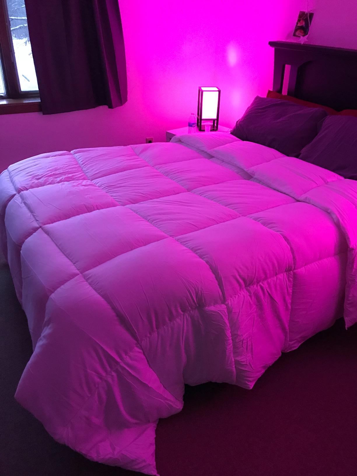 Utopia Bedding Queen Comforter, Duvet Insert, White, 88 x 88 Inches | Soft and Fluffy Down Alternative Bed Comforter, All Season, Breathable, Corner Tabs, Box Stitched, Durable, Machine Washable customer photo 2