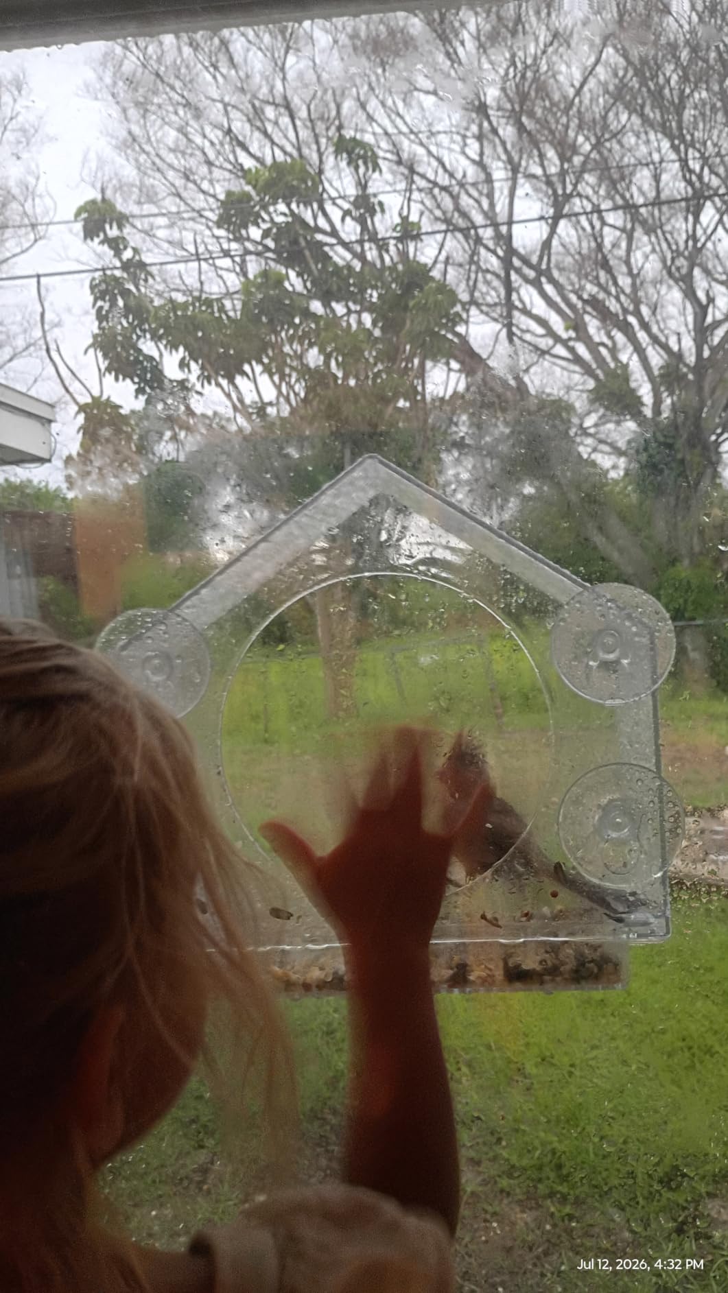 Window Bird Feeder with Strong Suction Cups, Bird Feeders for Outdoors | leak proof with sealing gasket included, bee and wasp proof flowers, large nectar capacity, refills without unmounting customer photo 2