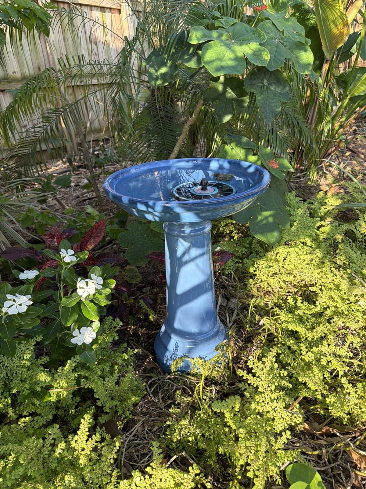 Smart Solar Aviatra Outdoor Ceramic Birdbath with Pedestal Stand and Glossy Finish, Elegant Traditional Birdbath for Garden, Blue customer photo 1