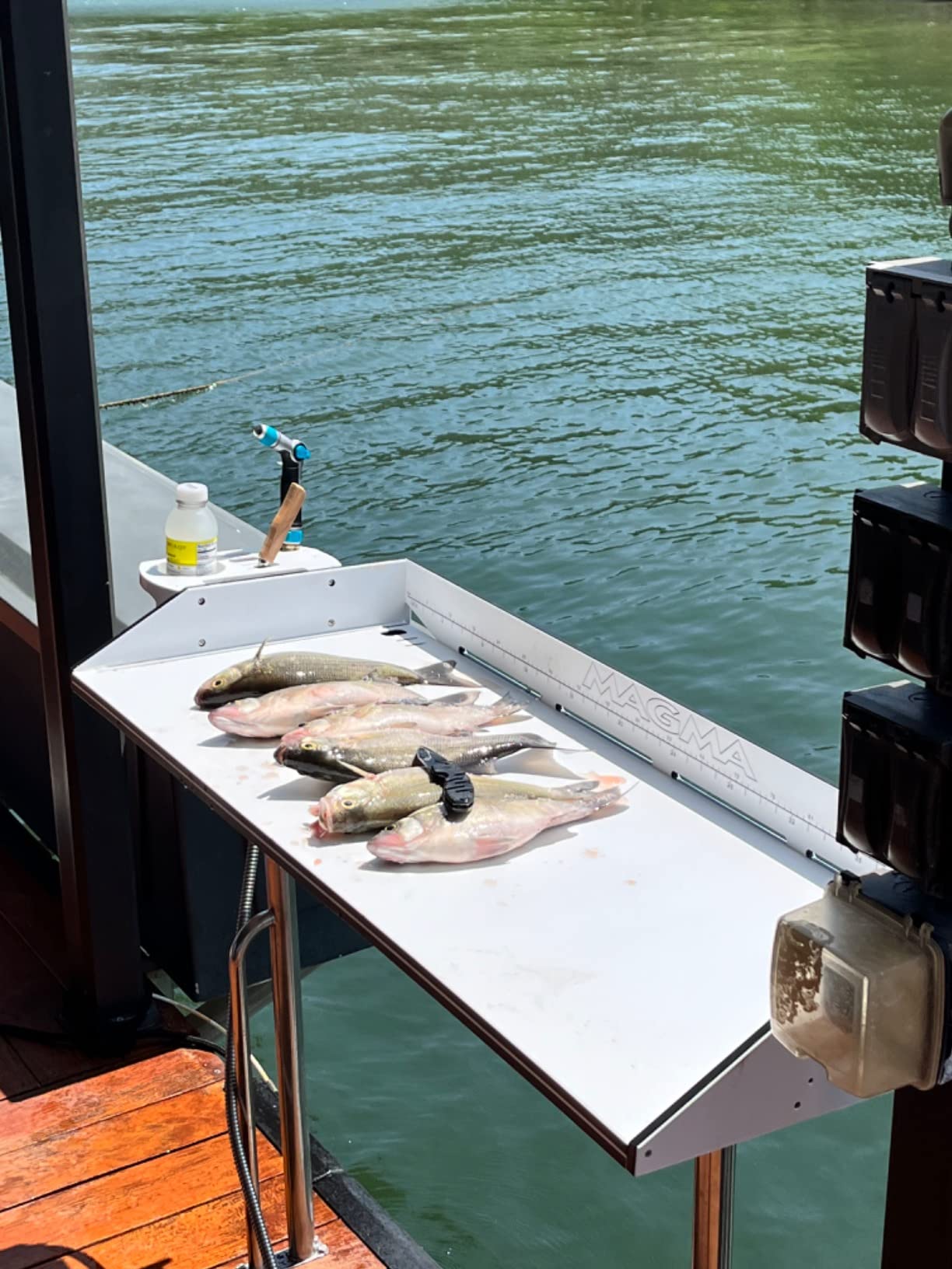 Magma Tournament Series Fish Cleaning Table customer photo 1