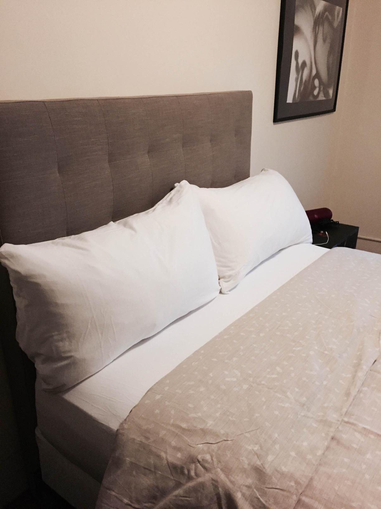 HOSPITOLOGY PRODUCTS Mattress Encasement - Zippered Bed Bug Dust Mite Proof Hypoallergenic - Sleep Defense System - Queen - Waterproof - Stretchable - Standard 12