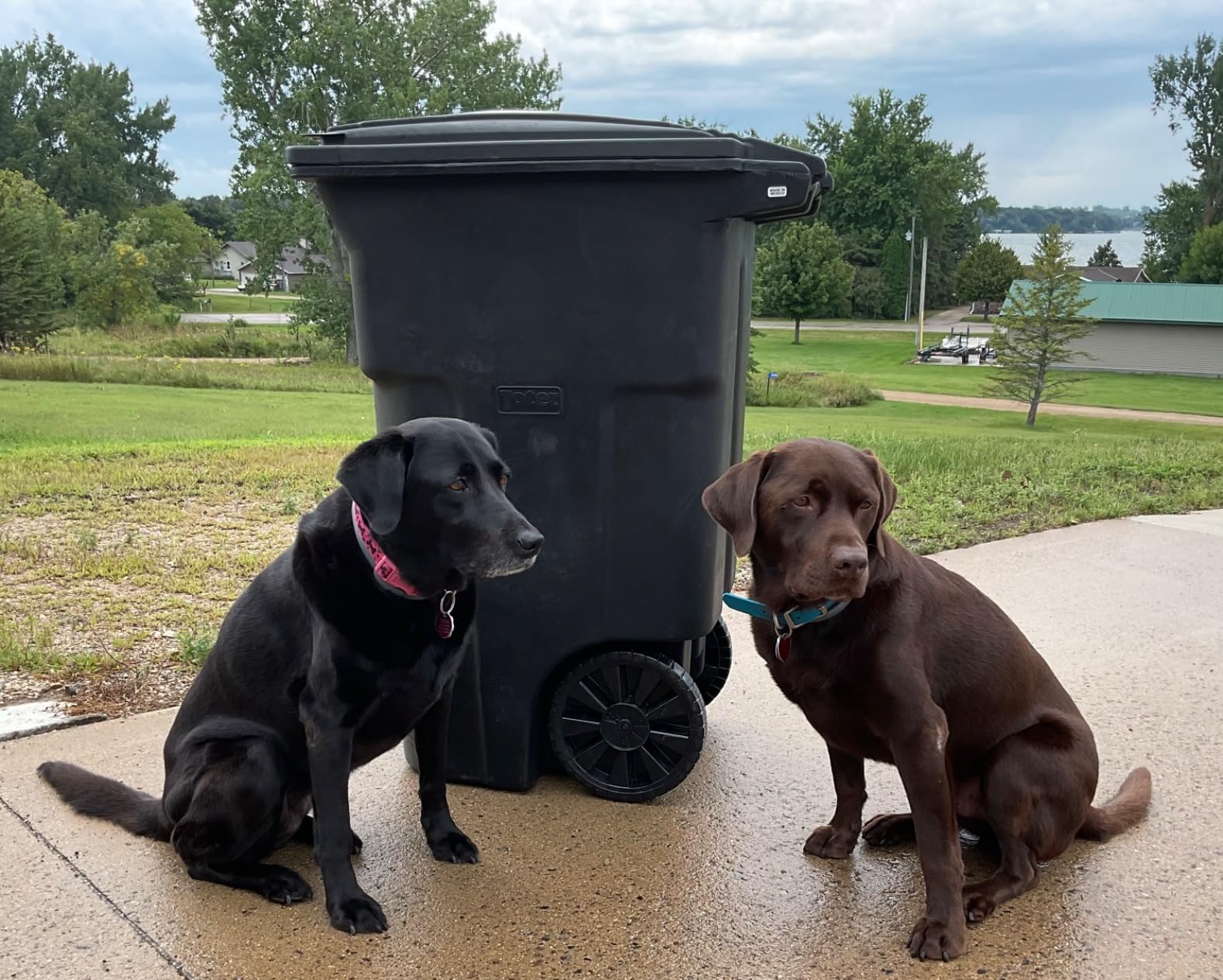 Toter 25564-R1209 Residential Heavy Duty Two Wheeled Trash Can, Blackstone, 64 Gallon customer photo 1
