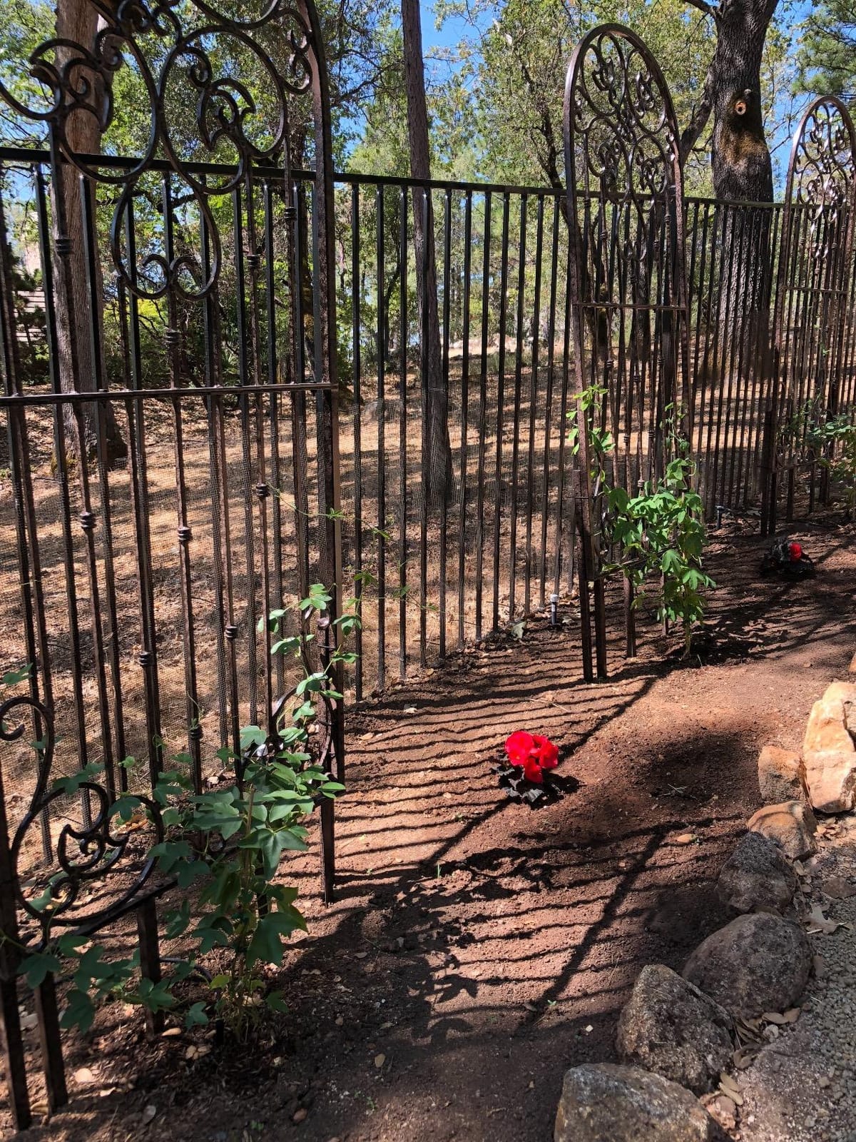 H Potter Garden Trellis - 72