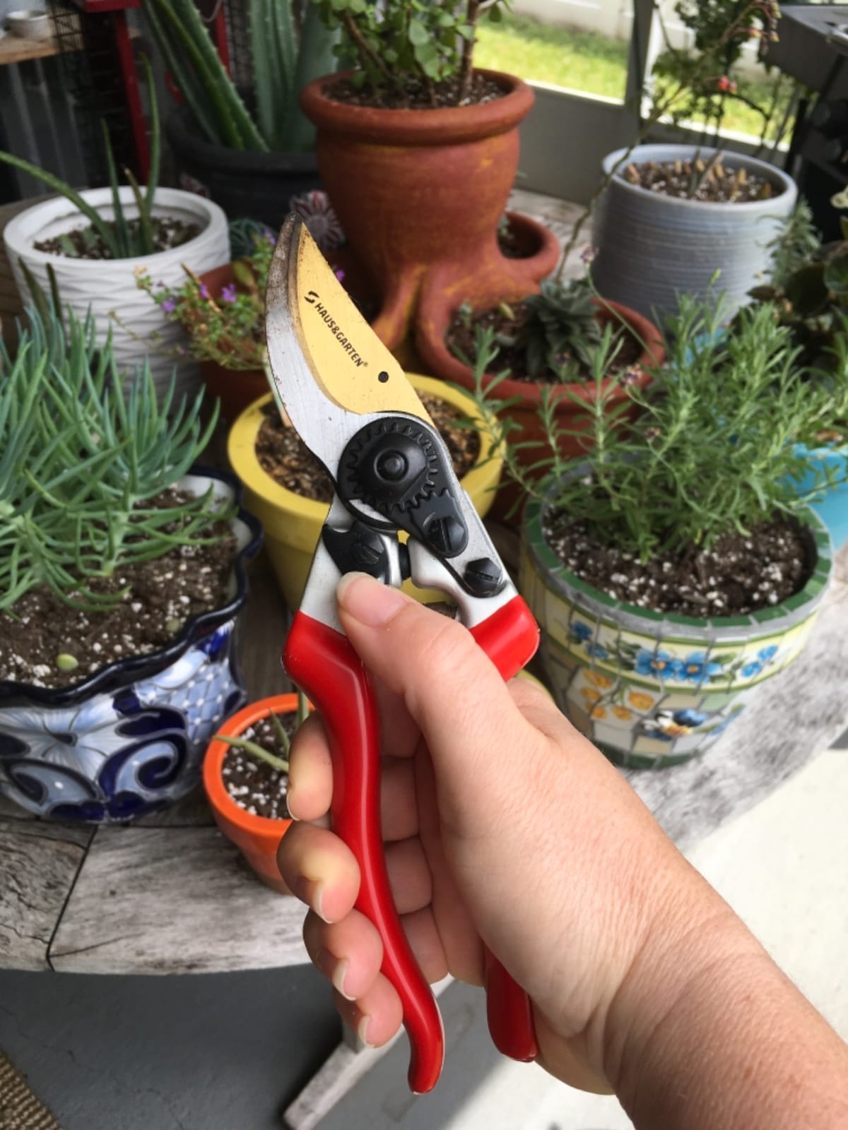 Haus & Garten EnduroPRO Ergonomic Bypass Pruners - Professional Titanium Garden Shears - Heavy Duty Hand Pruning Scissor, Tree Trimmer, Gardening Tool, Branch, Hedge, Rose, Shrub & Bush Clippers customer photo 2