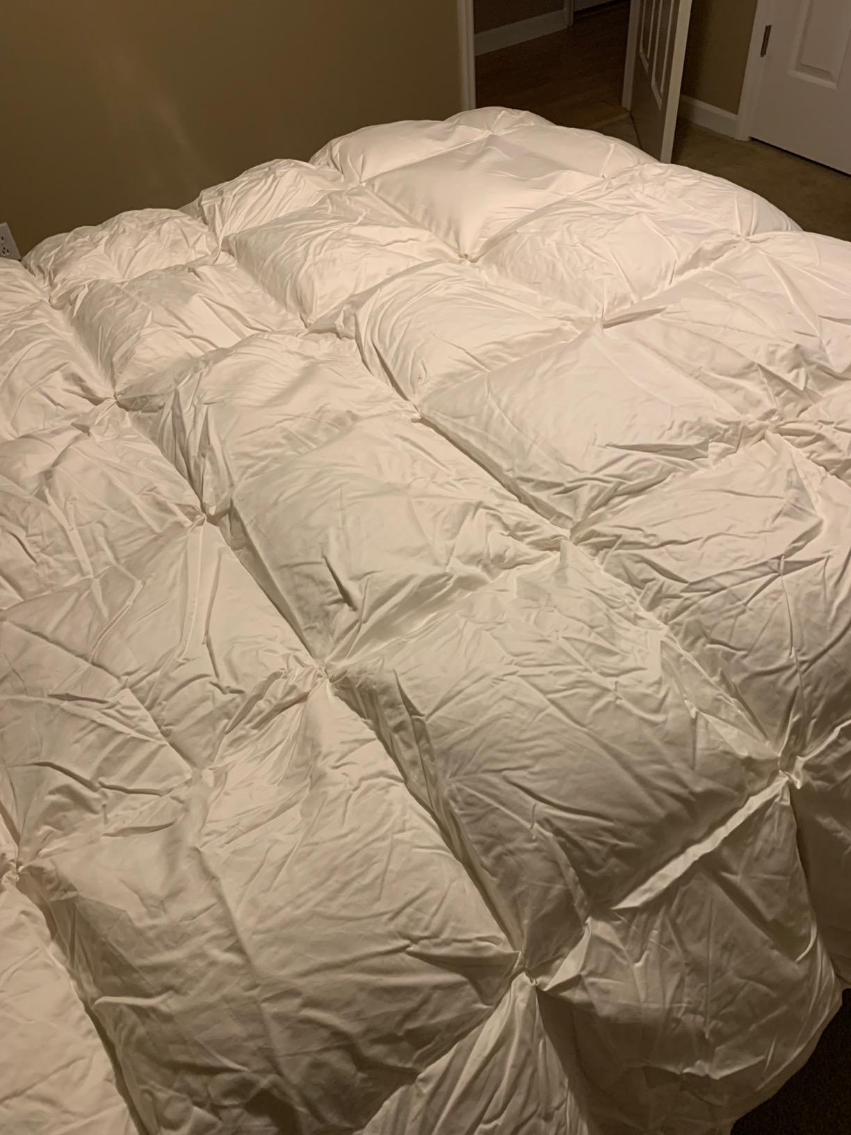puredown Goose Down Comforter Full/Queen Size 800 Fill Power, 100% Cotton Winter Oversized Duvet Insert 700 Thread Count, Heavyweight Cloud Fluffy Pinch Pleat Extra Warmth customer photo 1