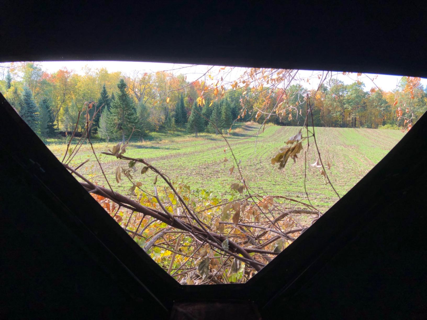 Barronett Blinds RA200BW Radar Pop Up Portable Blind, Bloodtrail Backwoods Camo, 67” x 71” x 71” customer photo 2