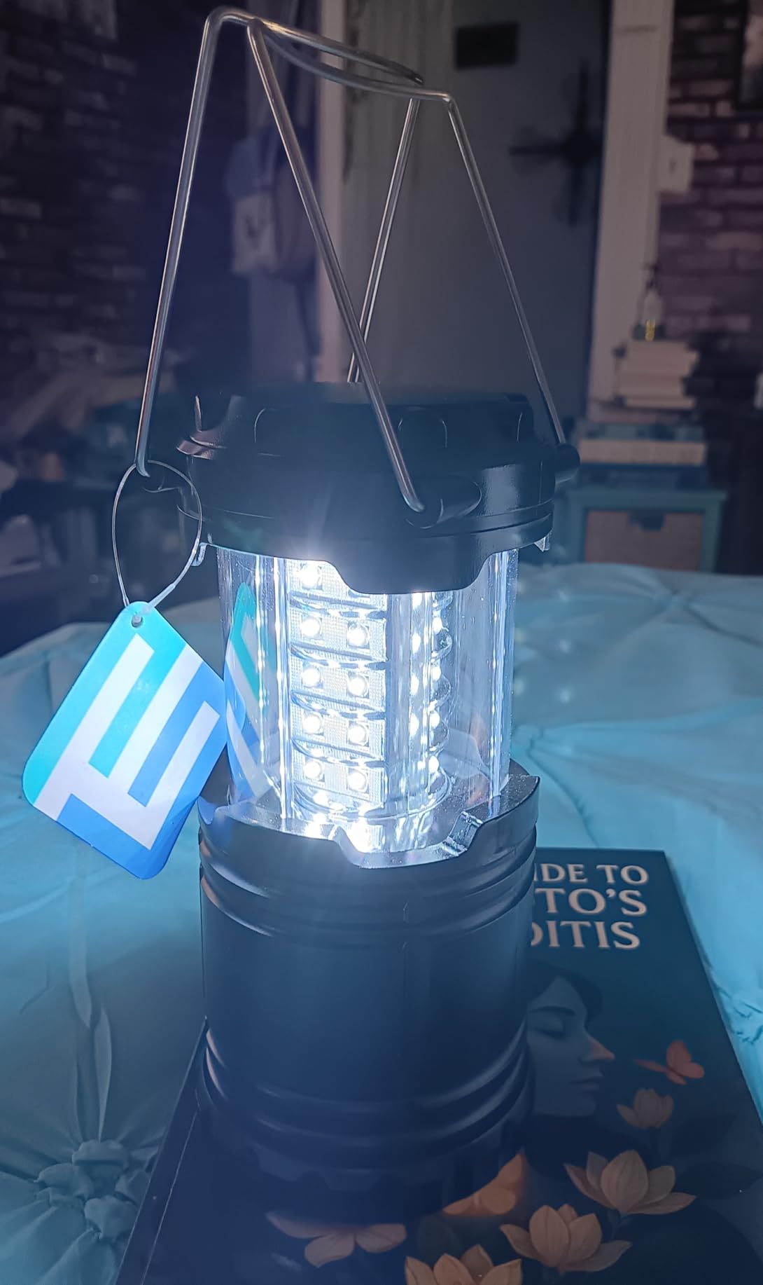 Etekcity LED Camping Lanterns, Battery Included, 4 Pack | Power Outages, Hurricane Preparedness, Camping Essentials, Emergency Kit, Water Resistant, Collapsible Design customer photo 1