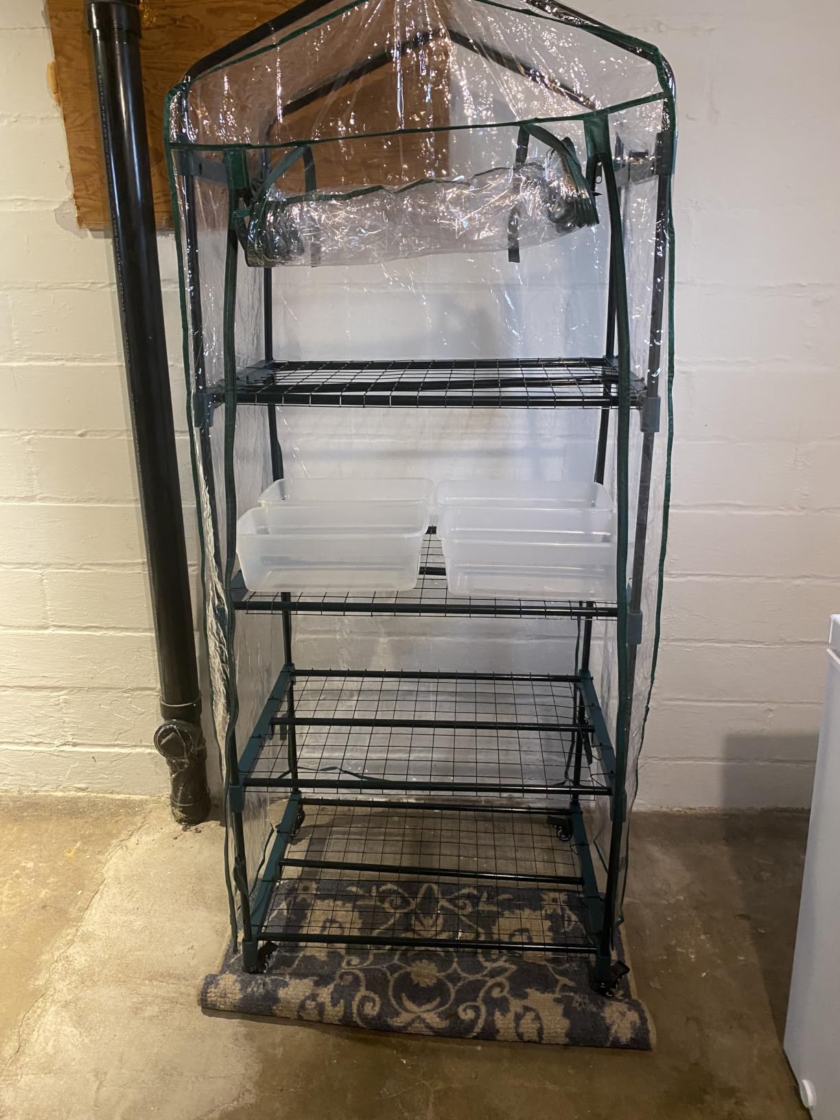 4 Tier Mini Greenhouse - Portable Greenhouse with Locking Wheels and PVC Cover for Indoor or Outdoor Green House by Pure Garden customer photo 1