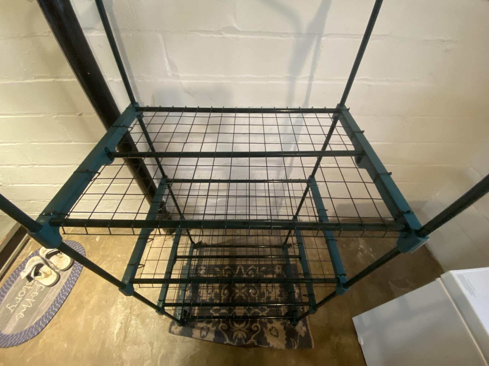 4 Tier Mini Greenhouse - Portable Greenhouse with Locking Wheels and PVC Cover for Indoor or Outdoor Green House by Pure Garden customer photo 2