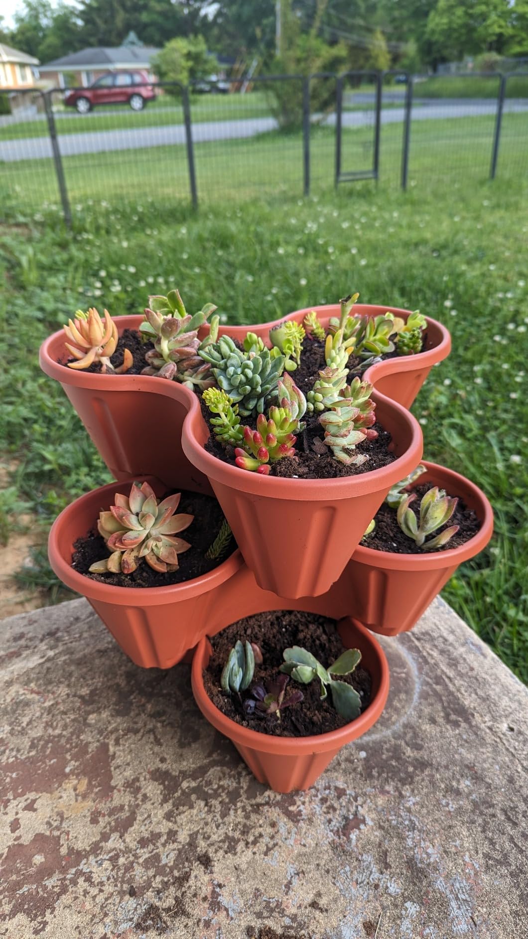 Stacking Planter Tower- 3-Tier Space Saving Flower Pots- Set of 3 Indoor/Outdoor Vertical Herb & Vegetable Garden by Pure Garden (Terracotta Colored) customer photo 2
