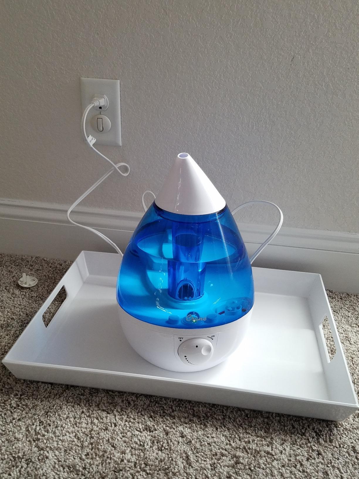 Crane Ultrasonic Cool Mist Humidifier for Bedroom, Baby Nursery, Kids Room, Plants, or Office, Large 1 Gallon Tank, Filter Optional, Clear and White customer photo 2