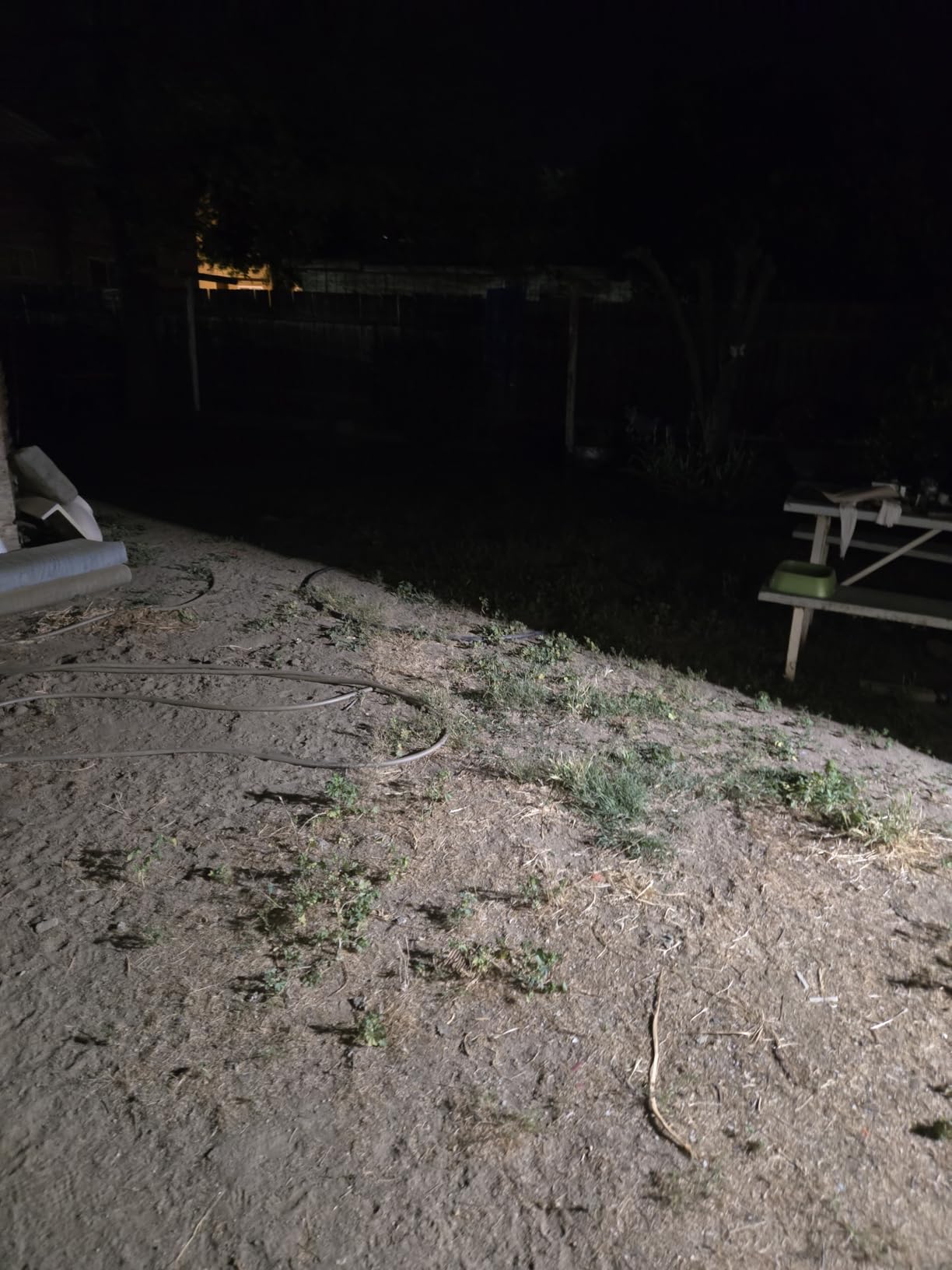 TORCHSTAR LED Barn Light Dusk to Dawn Area Lights Aluminum 5000K Bronze customer photo 2