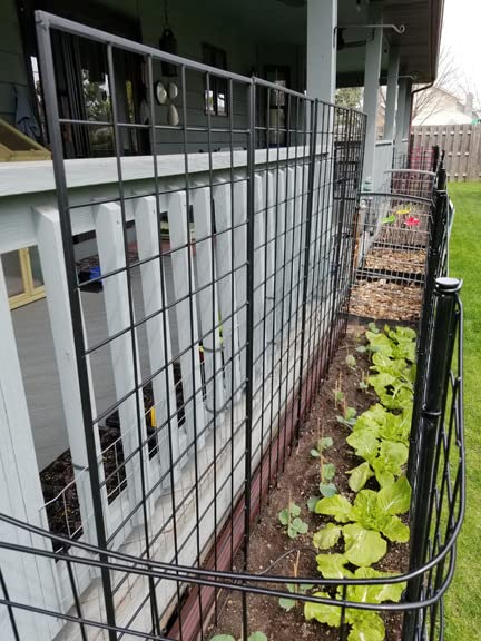American Garden Works STNMB Narrow Screen Trellis, Black 64.25