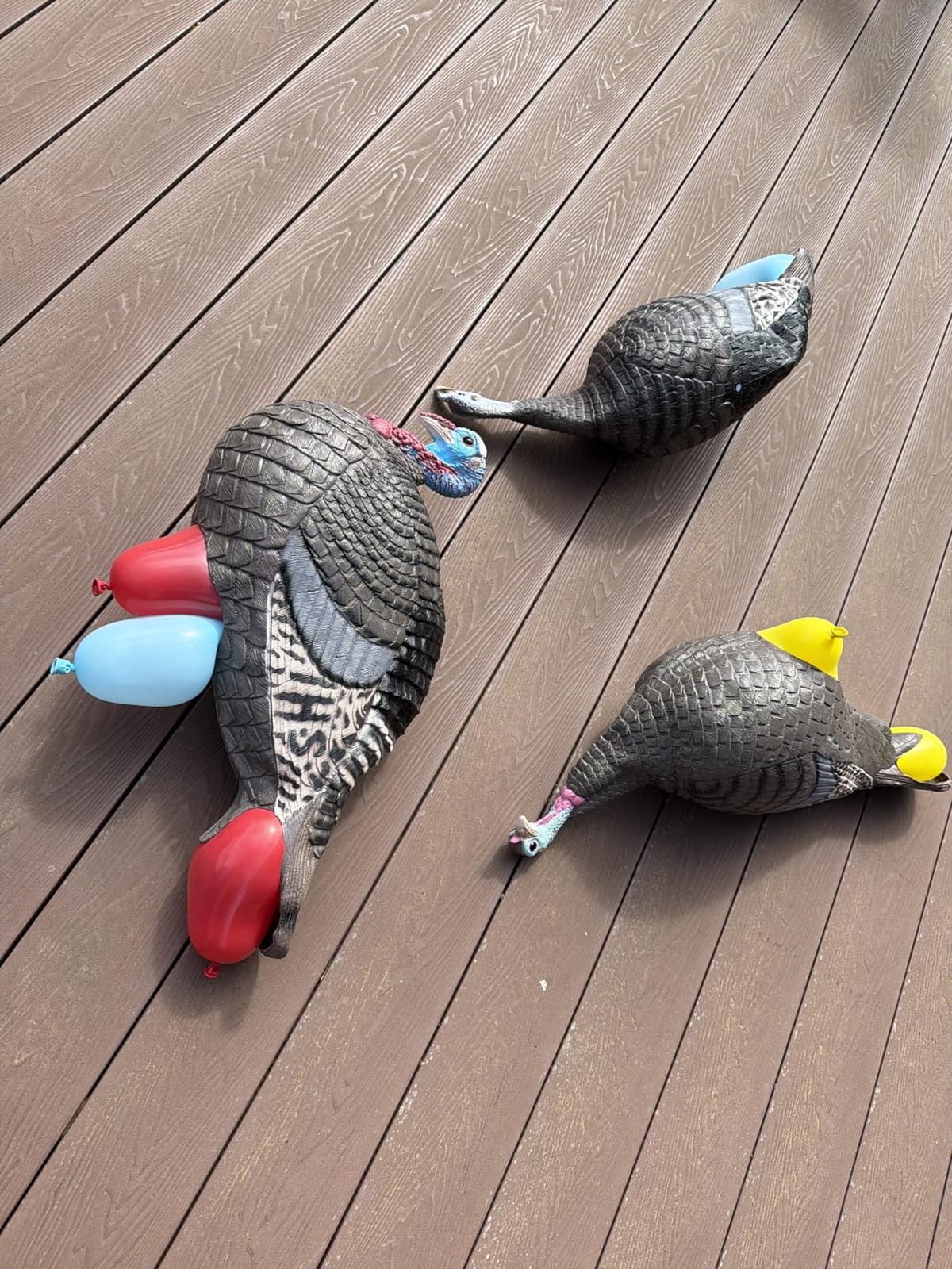HUNTERS SPECIALTIES HS Strut Lite Flock Jake & Feeding Hen & Upright Hen Turkey Foldable Hollow Relaxed Body Realistic 3-Pack Combo Set Decoys customer photo 1