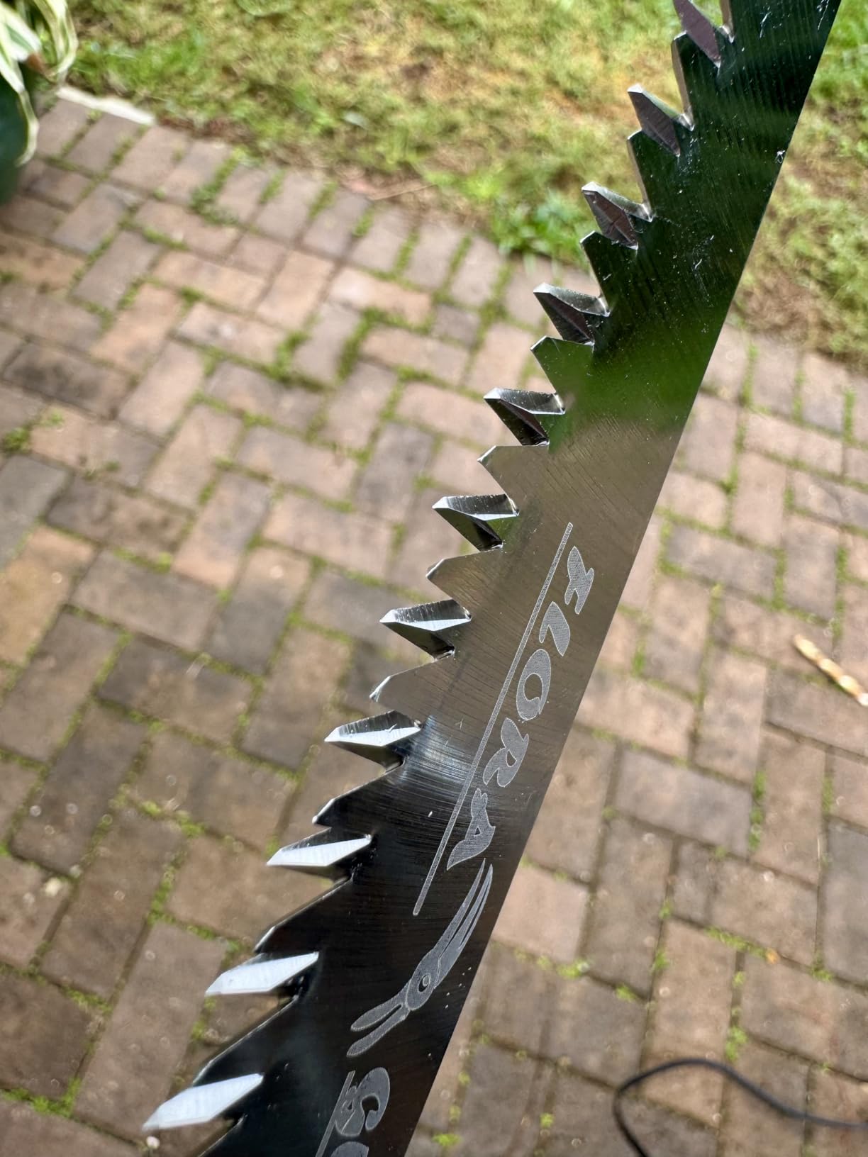 FLORA GUARD 7.7-Inch Folding Hand Saw,7 TPI Staggered Teeth Pruning Saw | SK5 Steel Blade with Fast Cutting Performance for Tree Limb Cutting, Green Wood, Branches and Firewood customer photo 2
