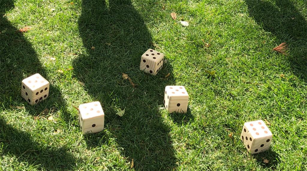 Giant Wooden Yard Dice Set Outdoor Lawn Games for Adults and Family customer photo 1