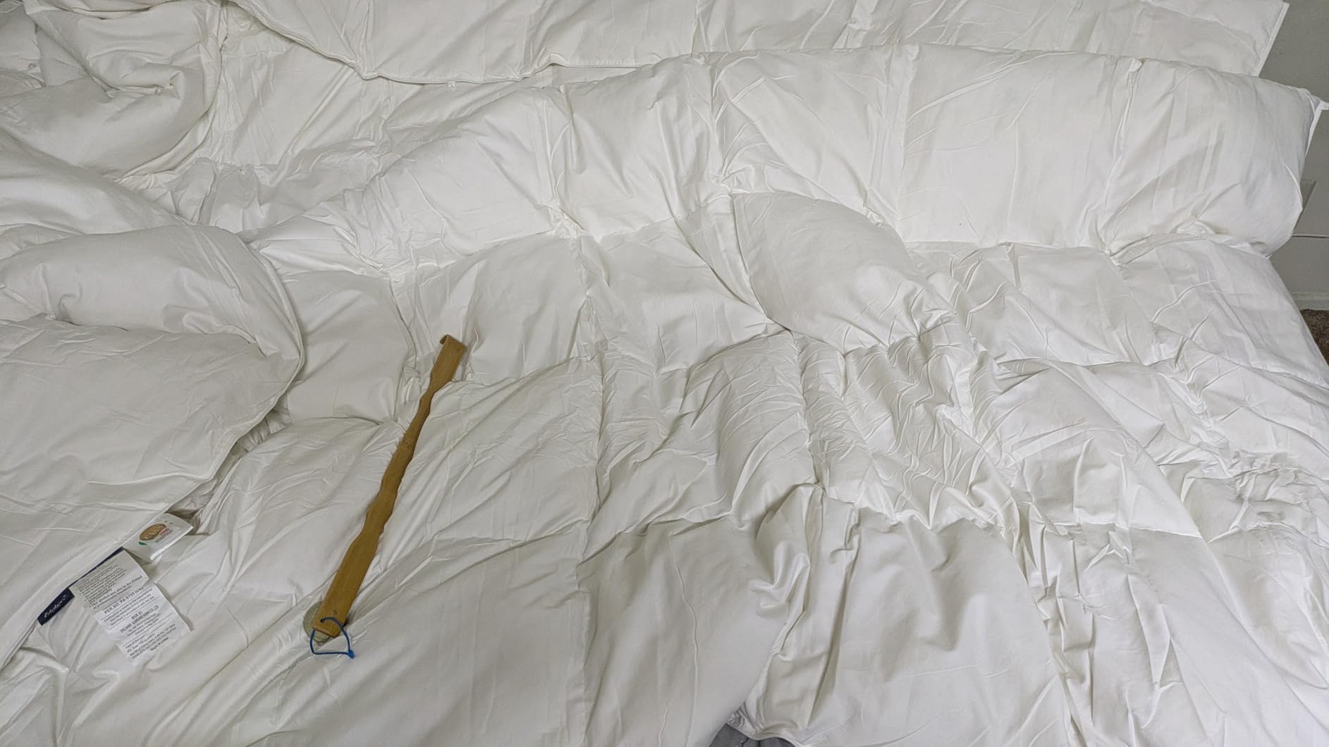 Globon Winter Goose Down Comforter Queen Size, 800 Fill Power, White | Luxury Goose Down Duvet Insert, Cozy Winter Warmth, 420TC Ultra-Soft Noiseless Shell, Secure 8 Corner Tabs, 90x90 Inches customer photo 1