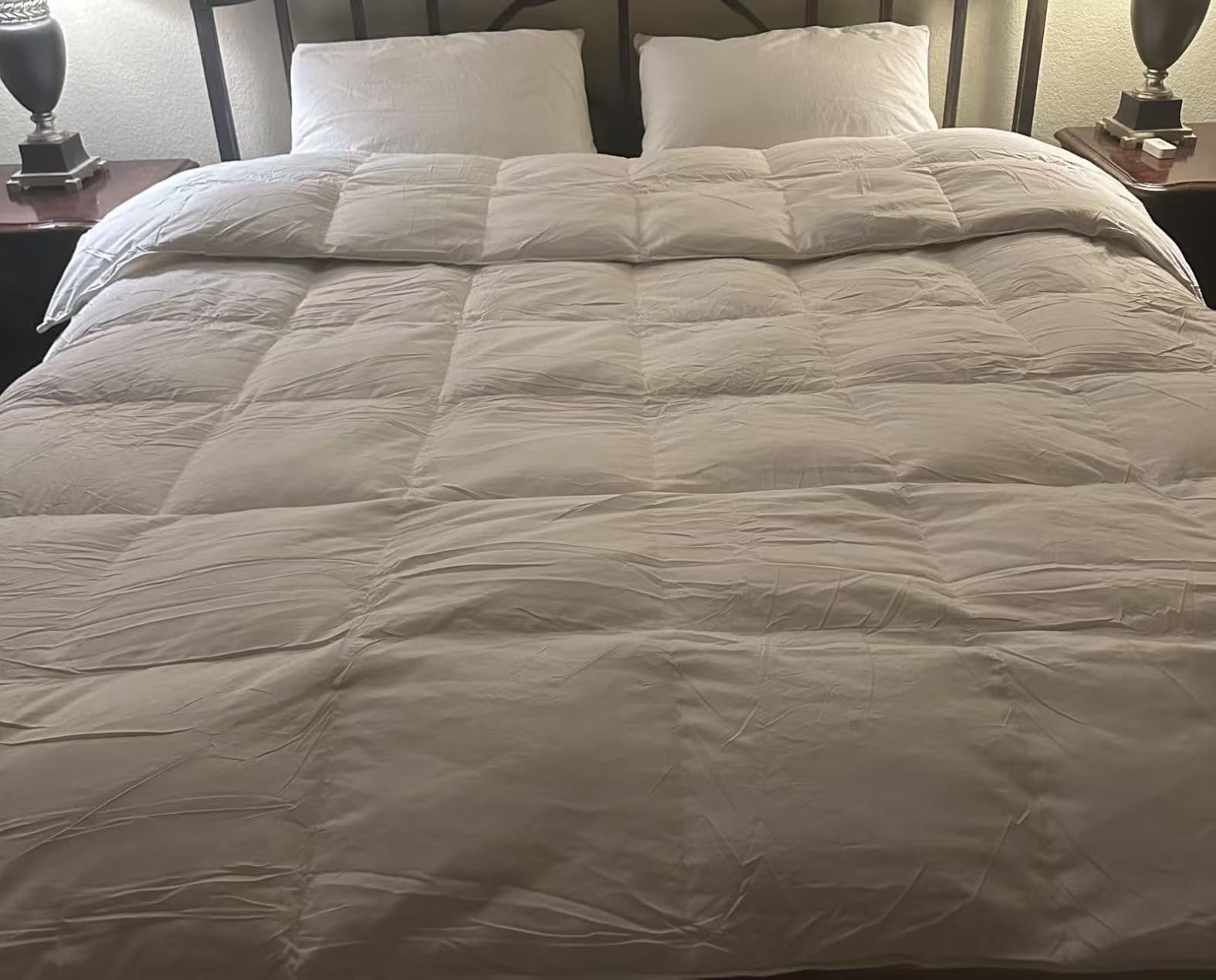 Globon Winter Goose Down Comforter Queen Size, 800 Fill Power, White | Luxury Goose Down Duvet Insert, Cozy Winter Warmth, 420TC Ultra-Soft Noiseless Shell, Secure 8 Corner Tabs, 90x90 Inches customer photo 2