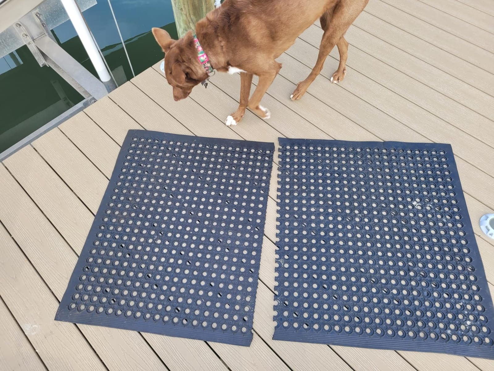 ROVSUN Rubber Floor Mat with Holes, Anti-Fatigue/Non-Slip Drainage Mat, for Industrial Kitchen Restaurant Bar Bathroom Utility Garage Pool Entry Door Mat, Indoor (36'' x 60'' Black 1Pcs) customer photo 2