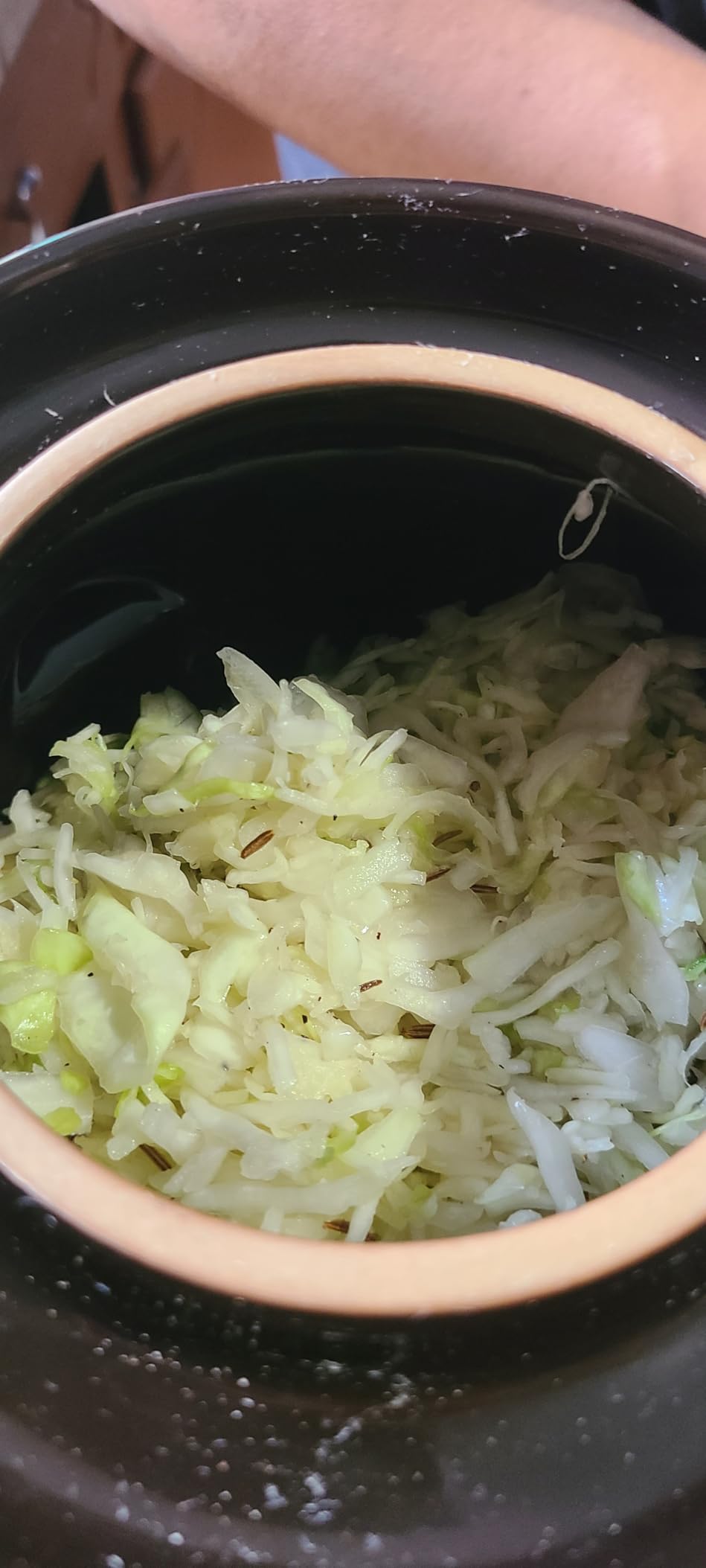 Fermentation Crock 1/2 Gallon - Sauerkraut Crock with Weights & Pounder | Ceramic Fermenting Crock Kit for Pickling Cabbage Kimchi Vegetables - 4 Liter Fermentation Jar - Stoneware Pickle Pot customer photo 2