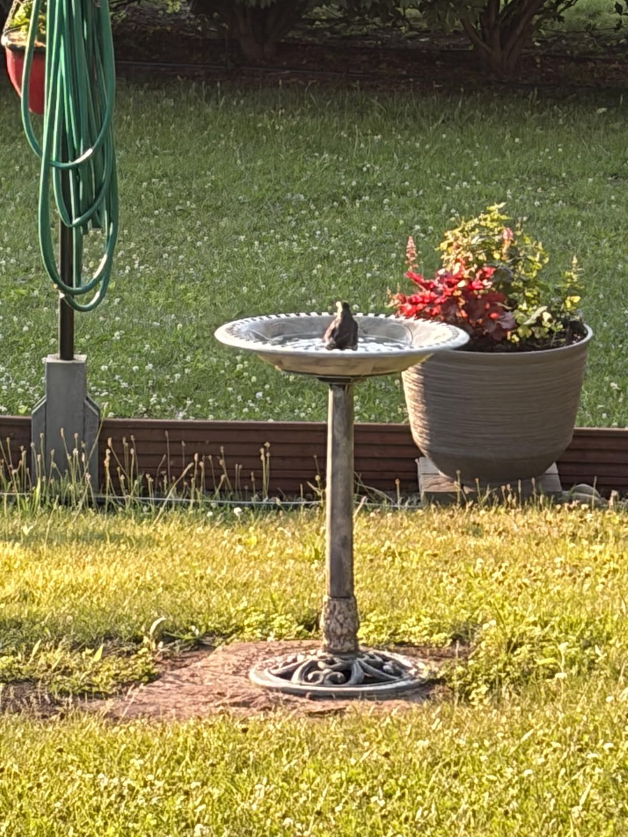 VIVOHOME Bird Bath for Outside, Polyresin Pedestal Birdbath, Green | Weather-Resistant, 20-Inch Bowl, 28-Inch Height, for Outdoor/Garden, Bird-Friendly, Easy to Clean customer photo 2