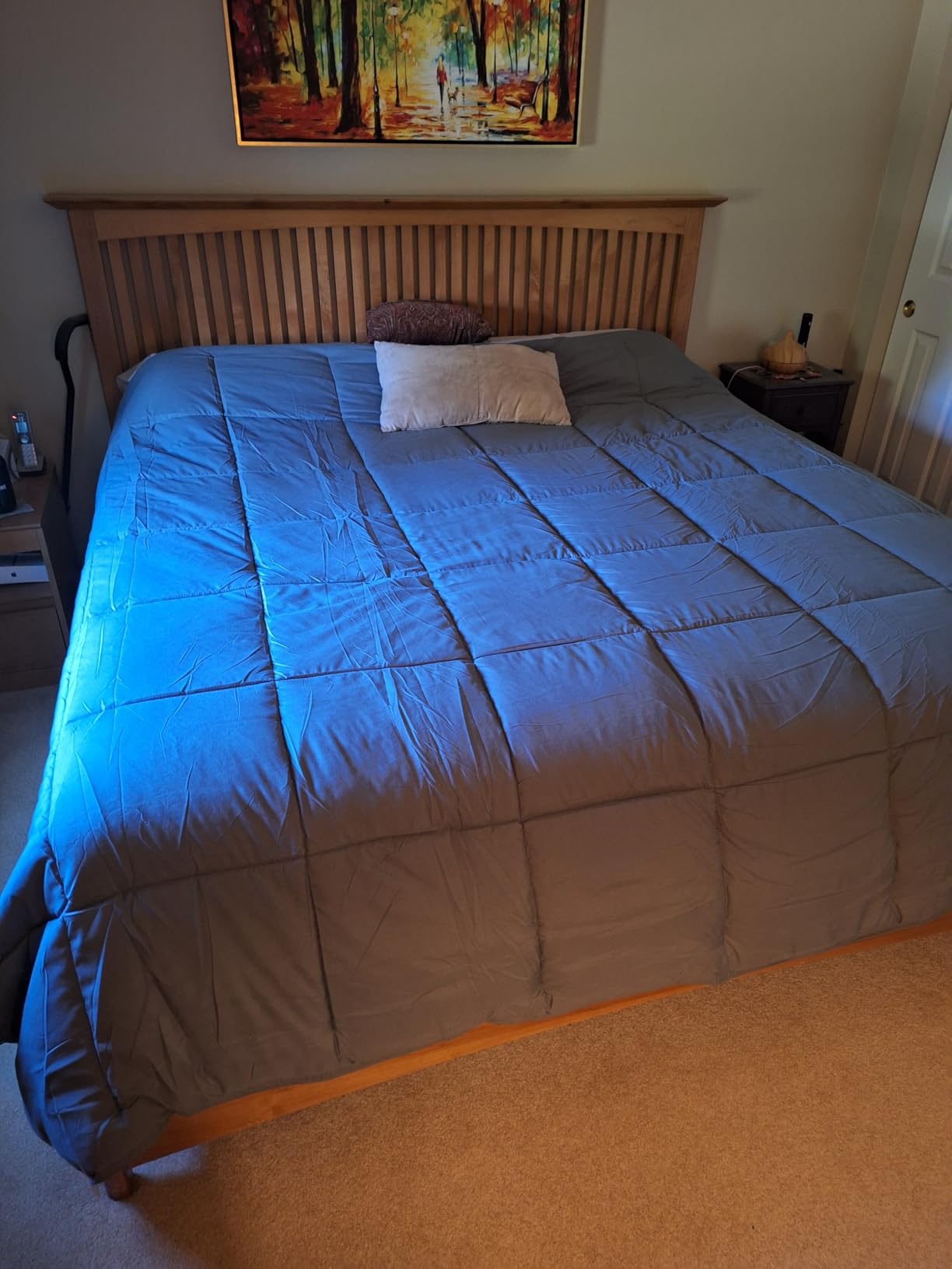 Bare Home Duvet Insert Comforter (King, White) | 1800 Ultra-Soft, Goose Down Alternative, Premium Quality, All-Season Warmth customer photo 1