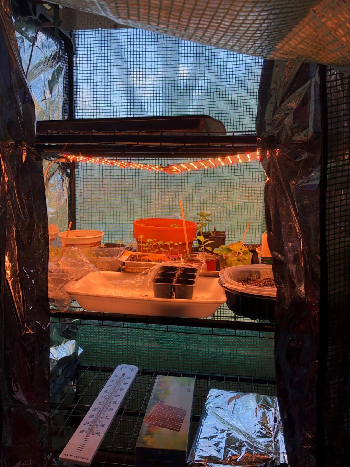 4 Tier Mini Greenhouse Indoor Outdoor with PE Cover and Roll-Up Zipper Door, Portable Waterproof Cloth Greenhouse Tent Grow Seeds & Seedlings, 2.3x1.5x5.3 FT customer photo 1