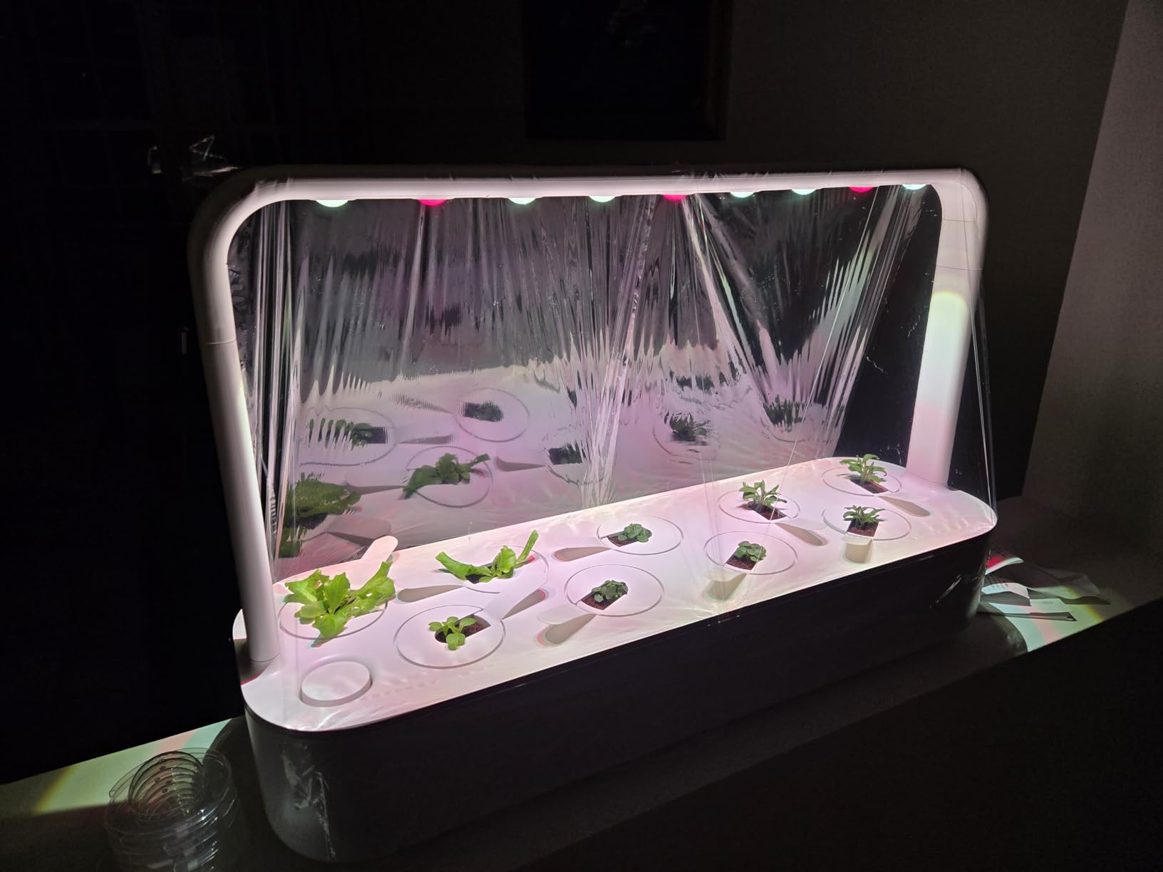 Click & Grow Smart Garden 9 Indoor Herb Garden Kit with Grow Light, White customer photo 1