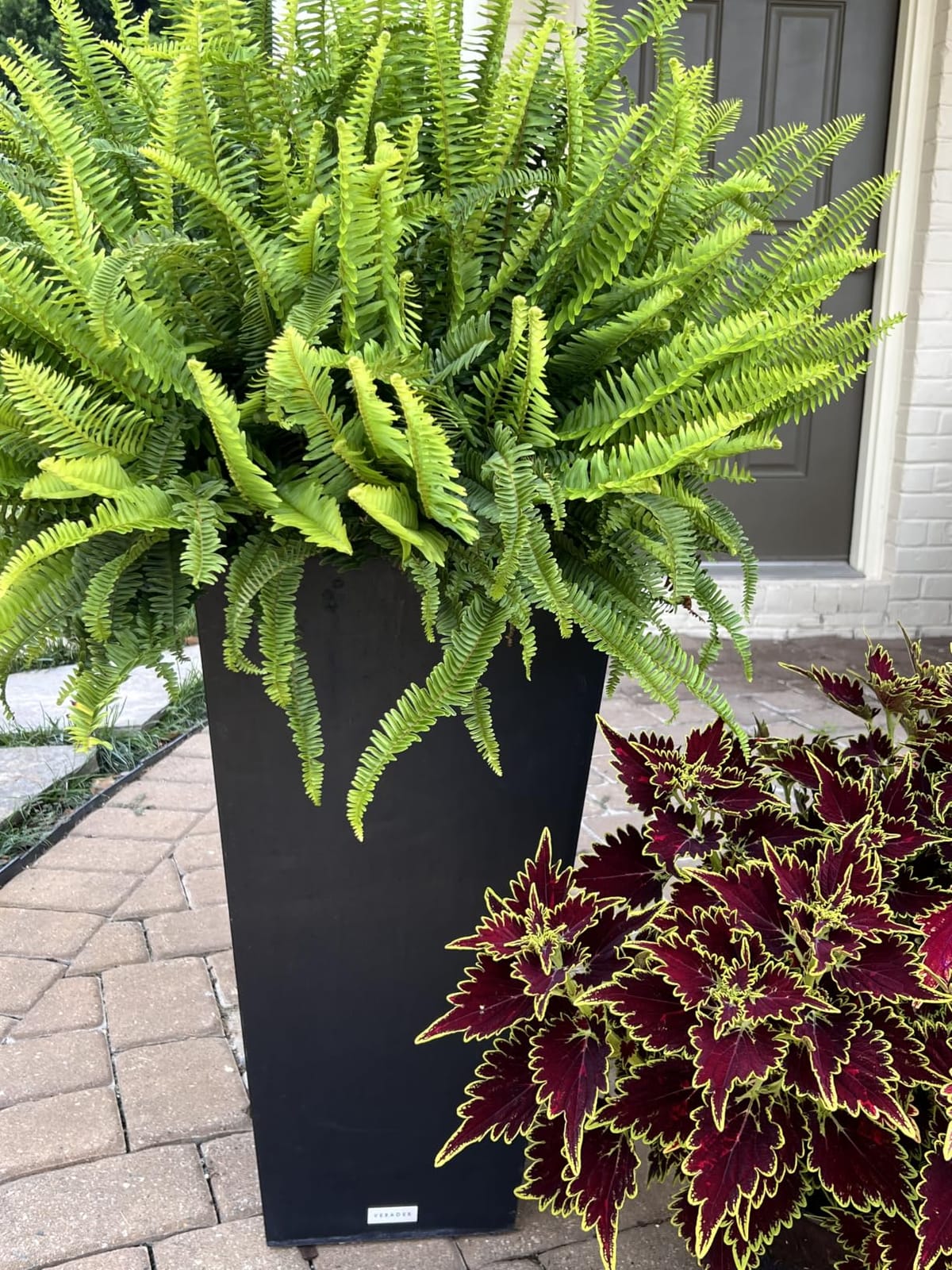 Veradek Pure Series Taper Planter - Tall Tapered Outdoor Planter with Shelf | Made From Durable Plastic Featuring a Removable Insert Shelf. Modern Porch/Patio Decor for Plants and Flowers customer photo 2