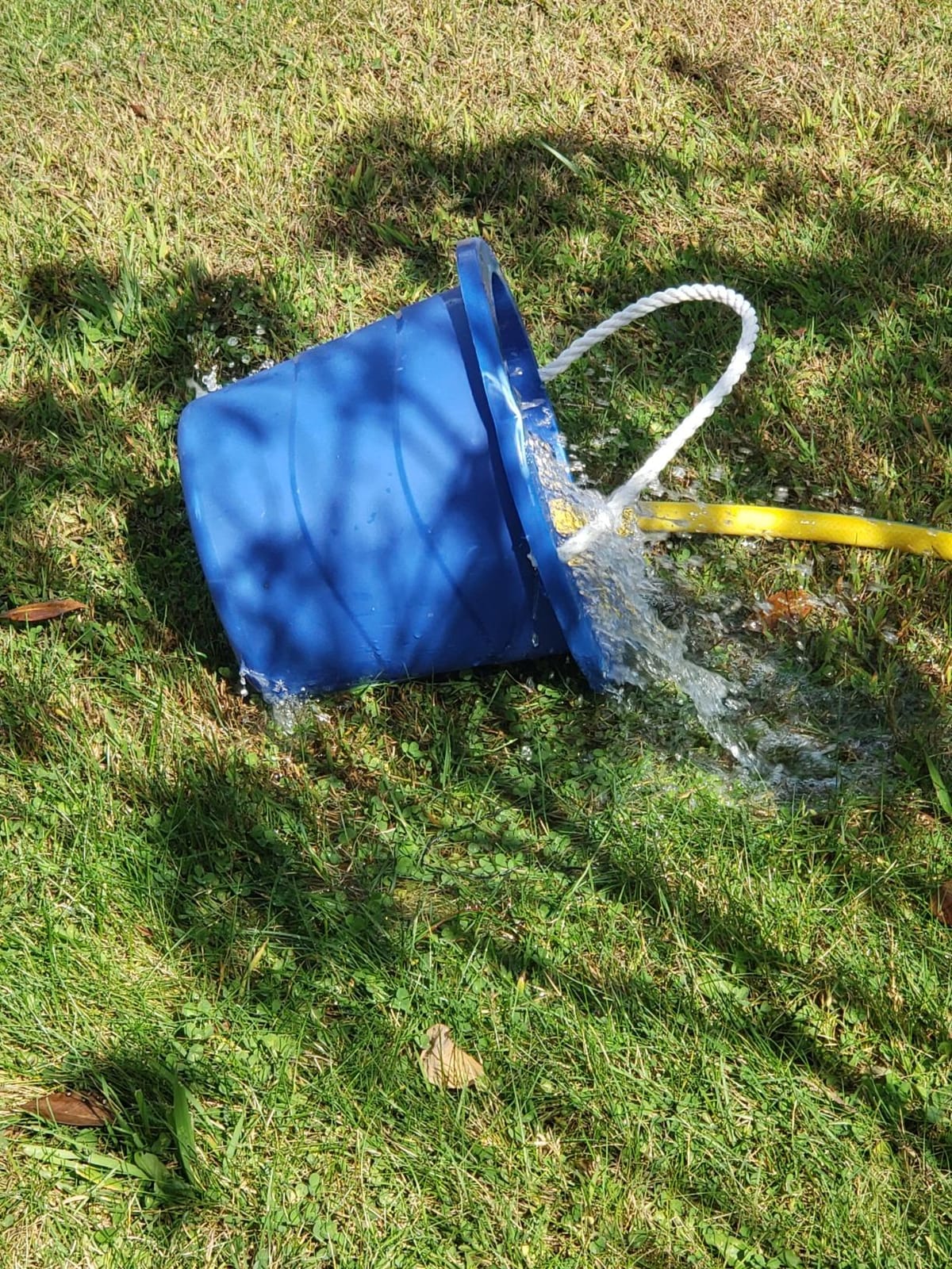 Green Expert 1/4HP Submersible Sump Pump, High Flow 1800GPH, 28FT Max Head, Portable Utility Water Pump for Basement Flooding, Emergency Water Removal, Pool, Hot Tub, Garden Drainage customer photo 1