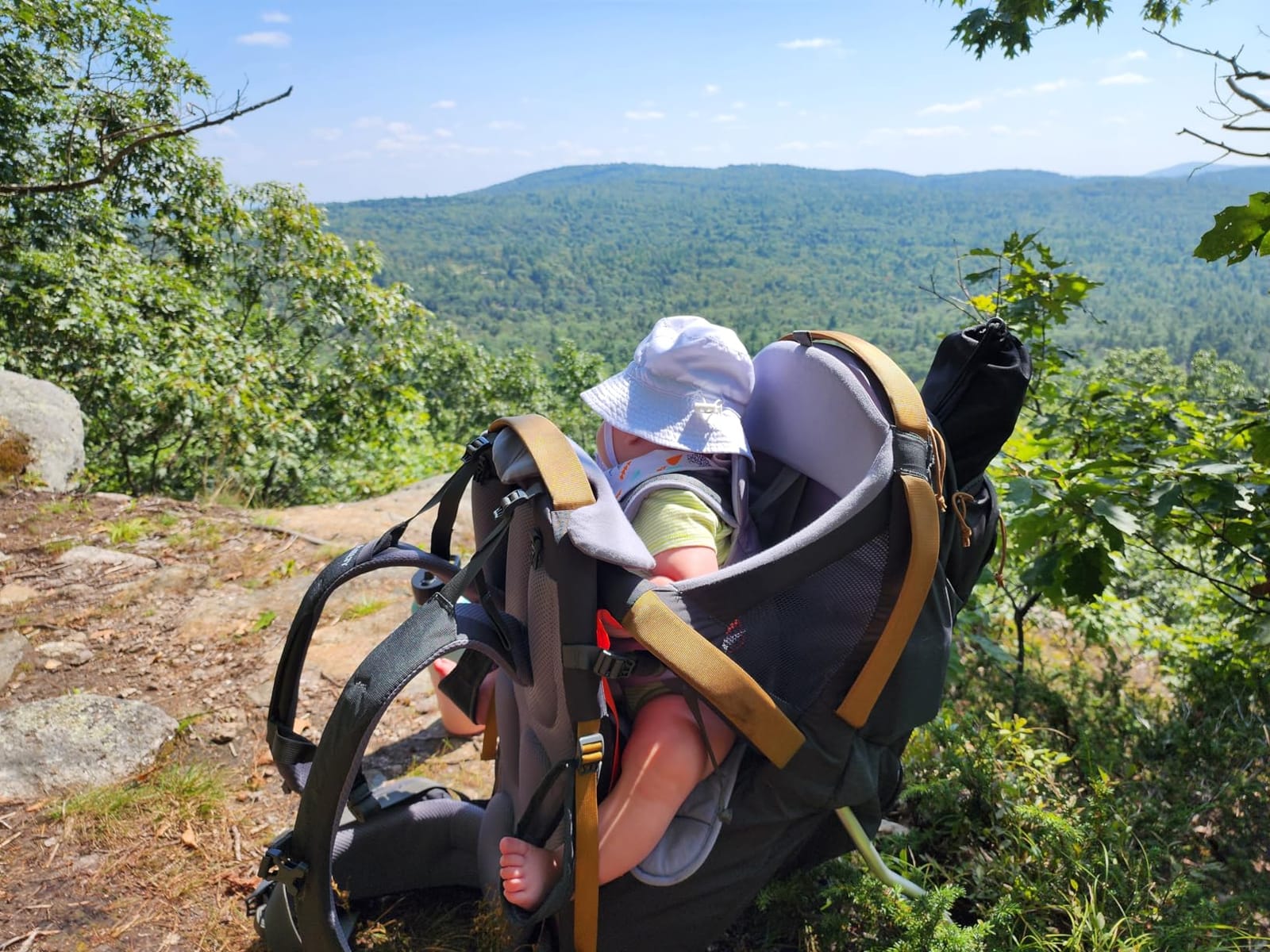 Kelty Journey PerfectFIT ELITE Child Carrier for Infants and Toddlers, Zippered Pockets, Waistbelt, Aluminum Frame, Sunshade customer photo 1
